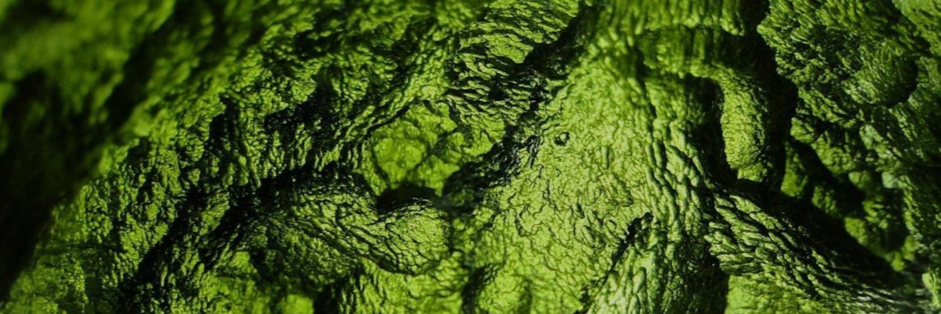 Moldavite