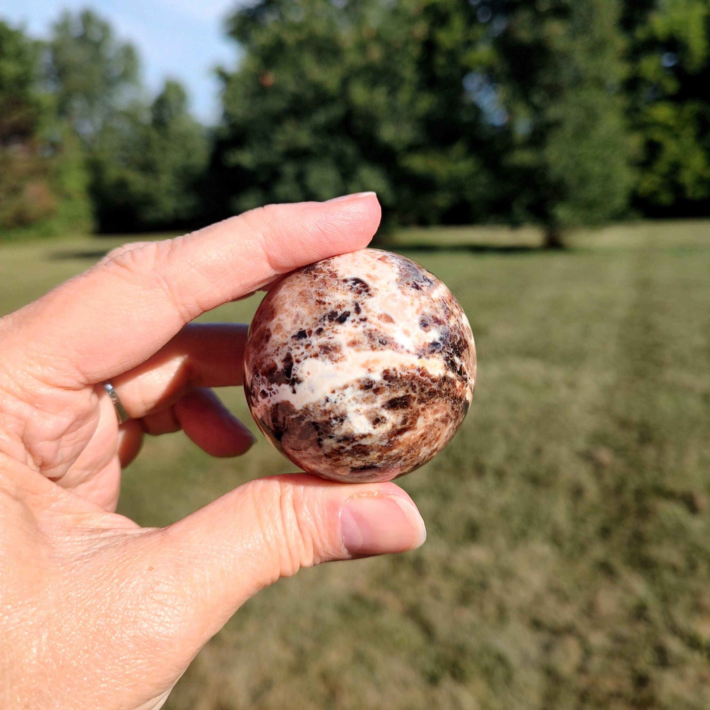 Hand holding a black opal sphere with a natural outdoor background.