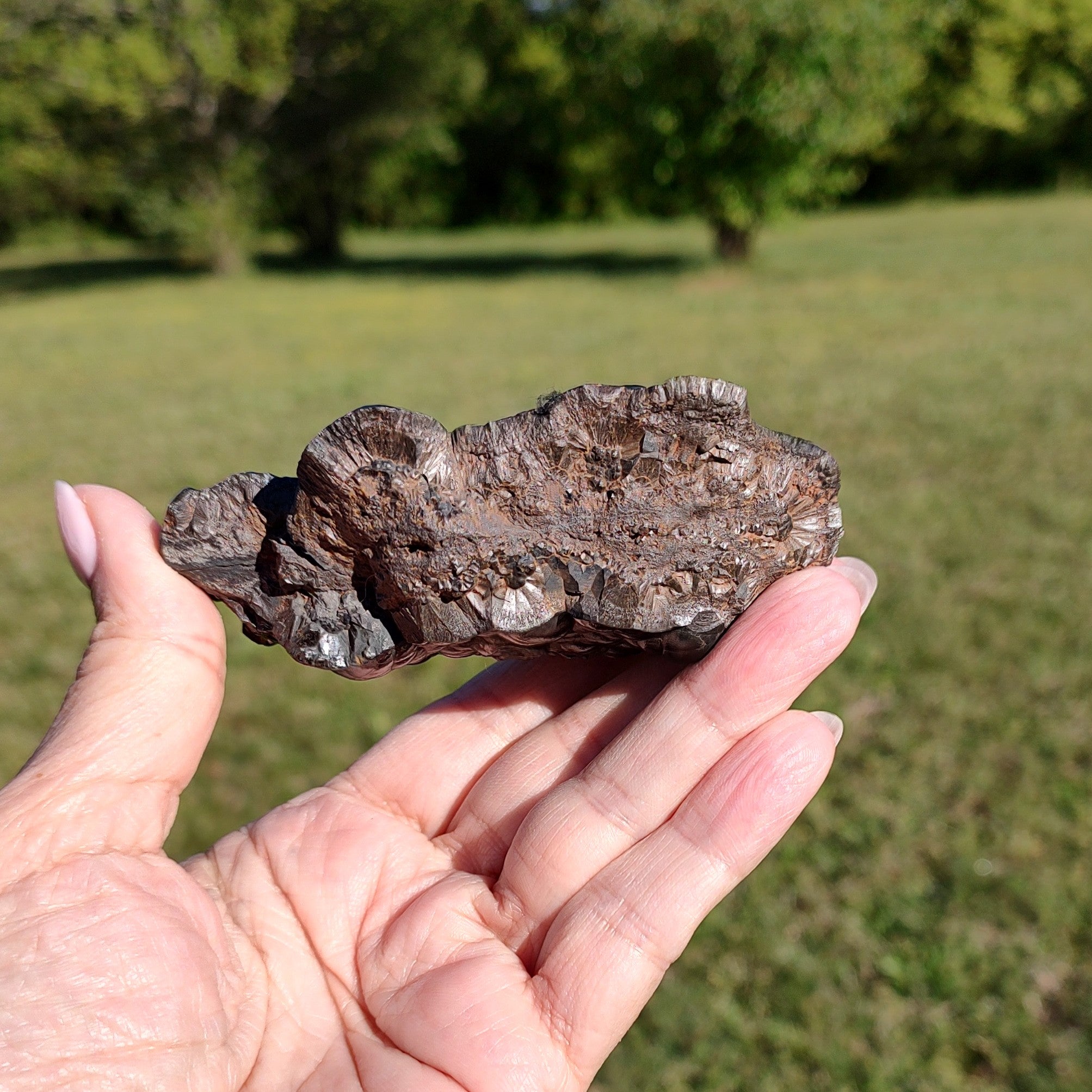 Hand holding a raw hematite specimen, in an outdoor setting.