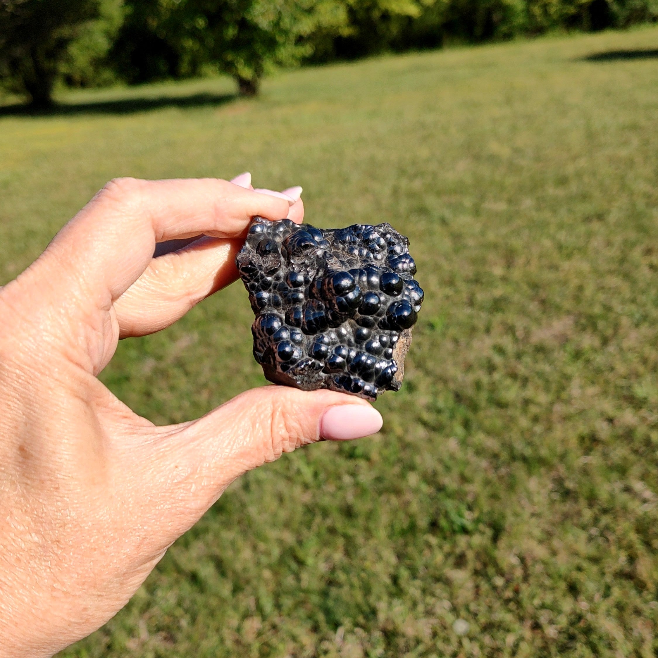 Hand holding a botryoidal hematite mineral specimen with a blurred green field background.