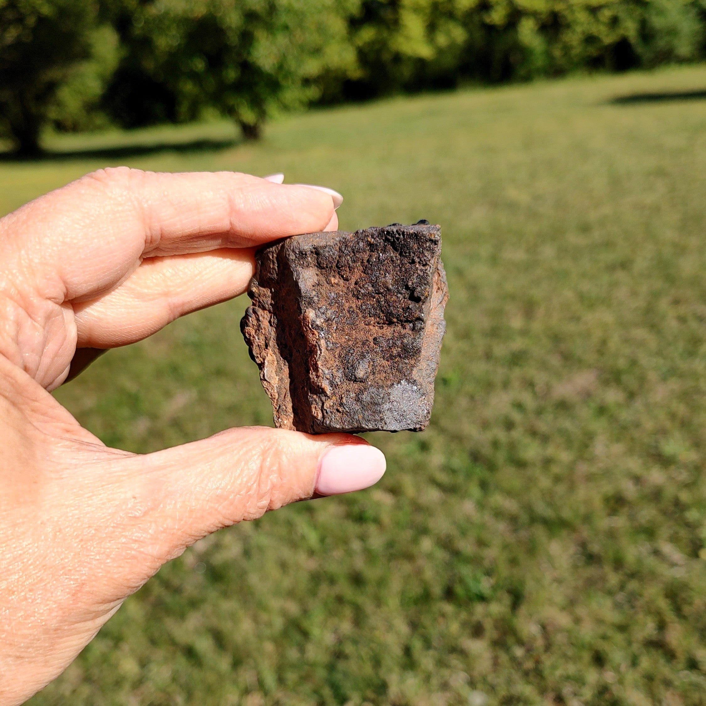 Hand holding a piece of rough hematite against a blurred green outdoor background.
