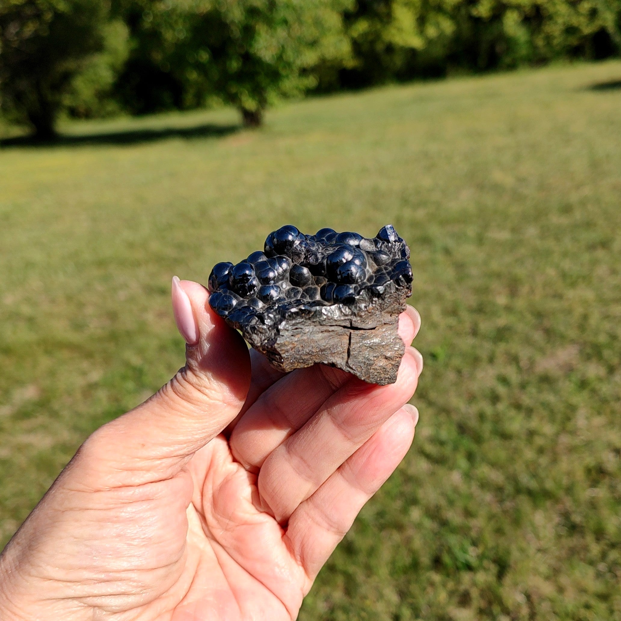 Hand holding a small hematite specimen against a grassy outdoor background.