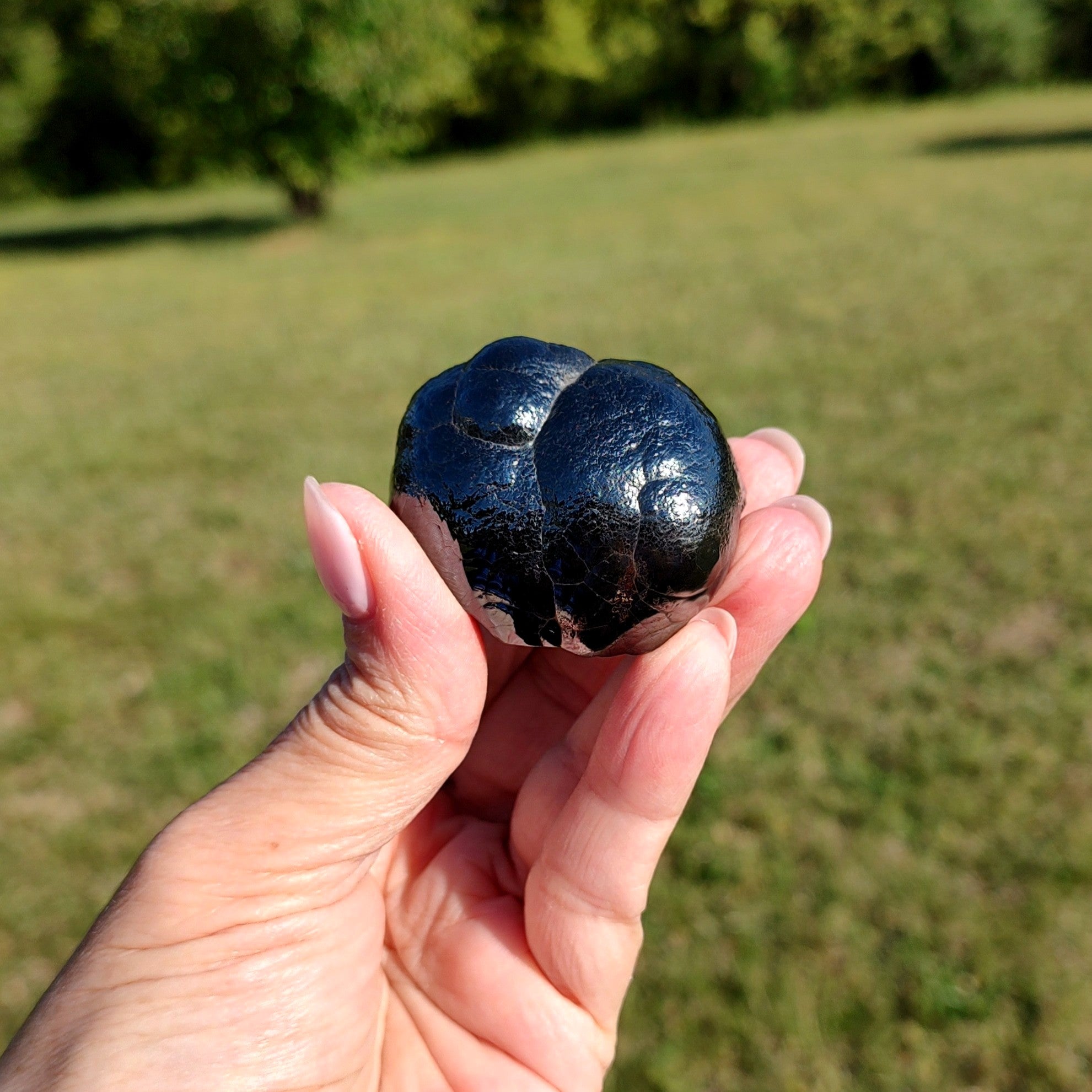 Hand holding a black stone against a blurred green outdoor background.