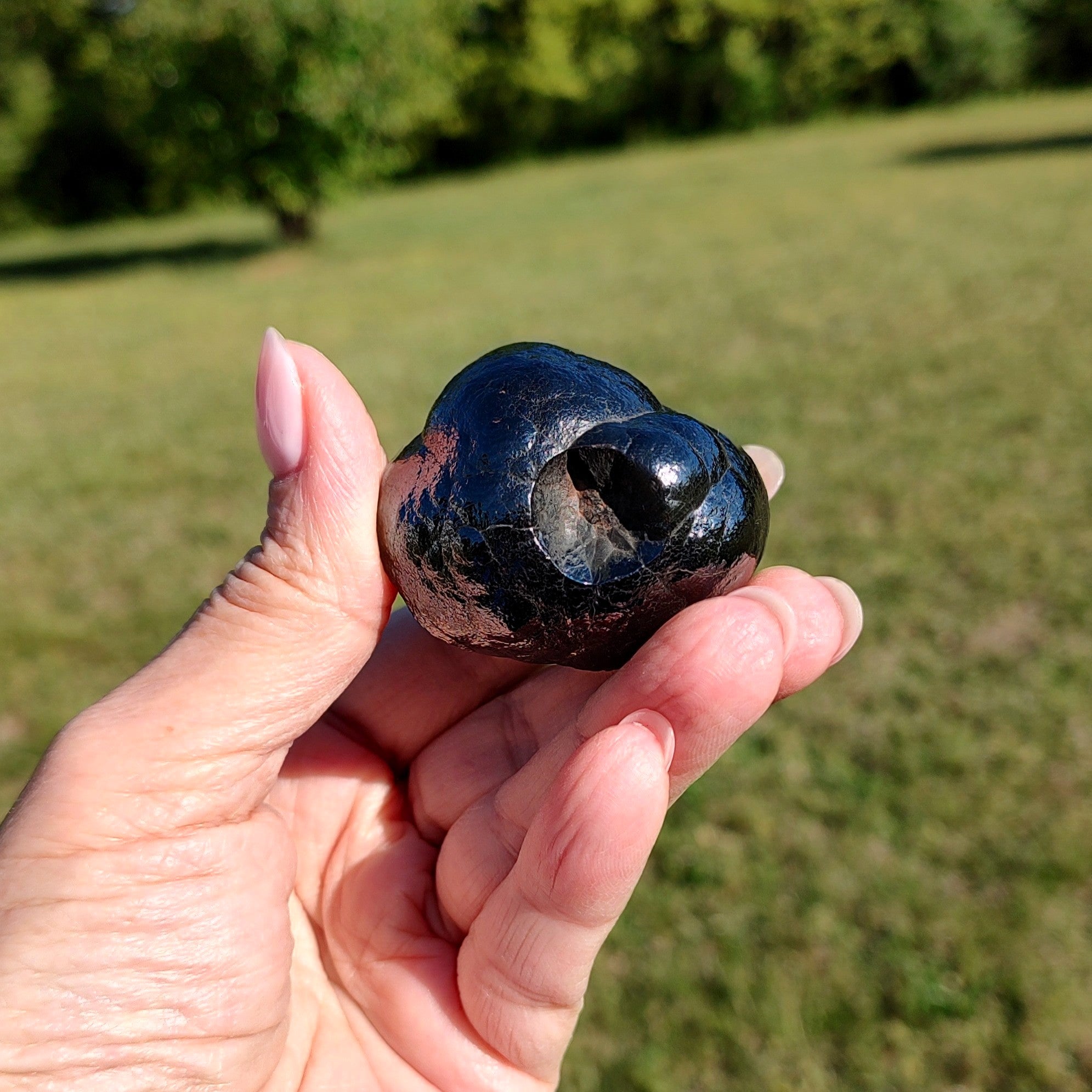 Hand holding a black stone with a blurred green field background.