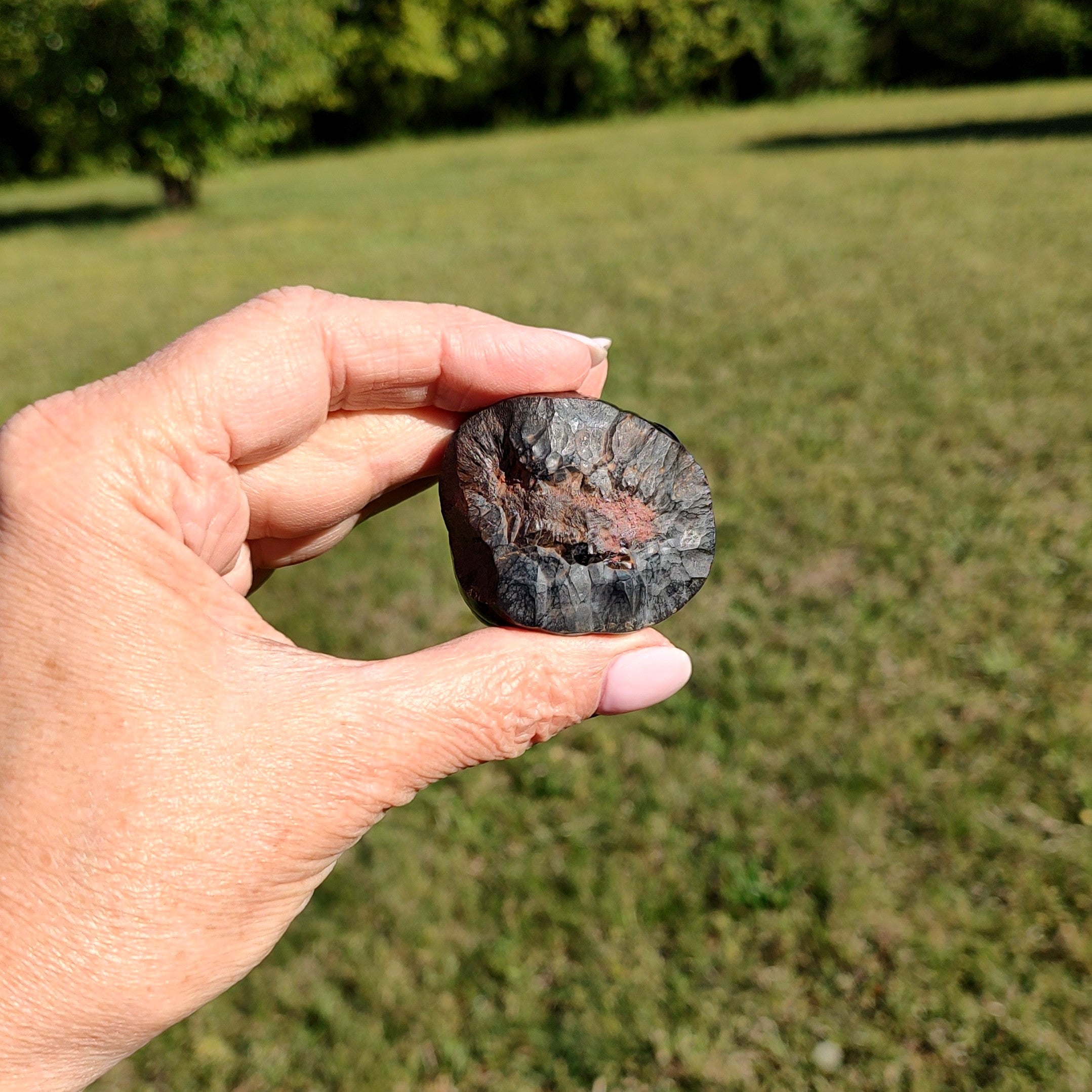 Hand holding a dark stone in front of a grassy field.