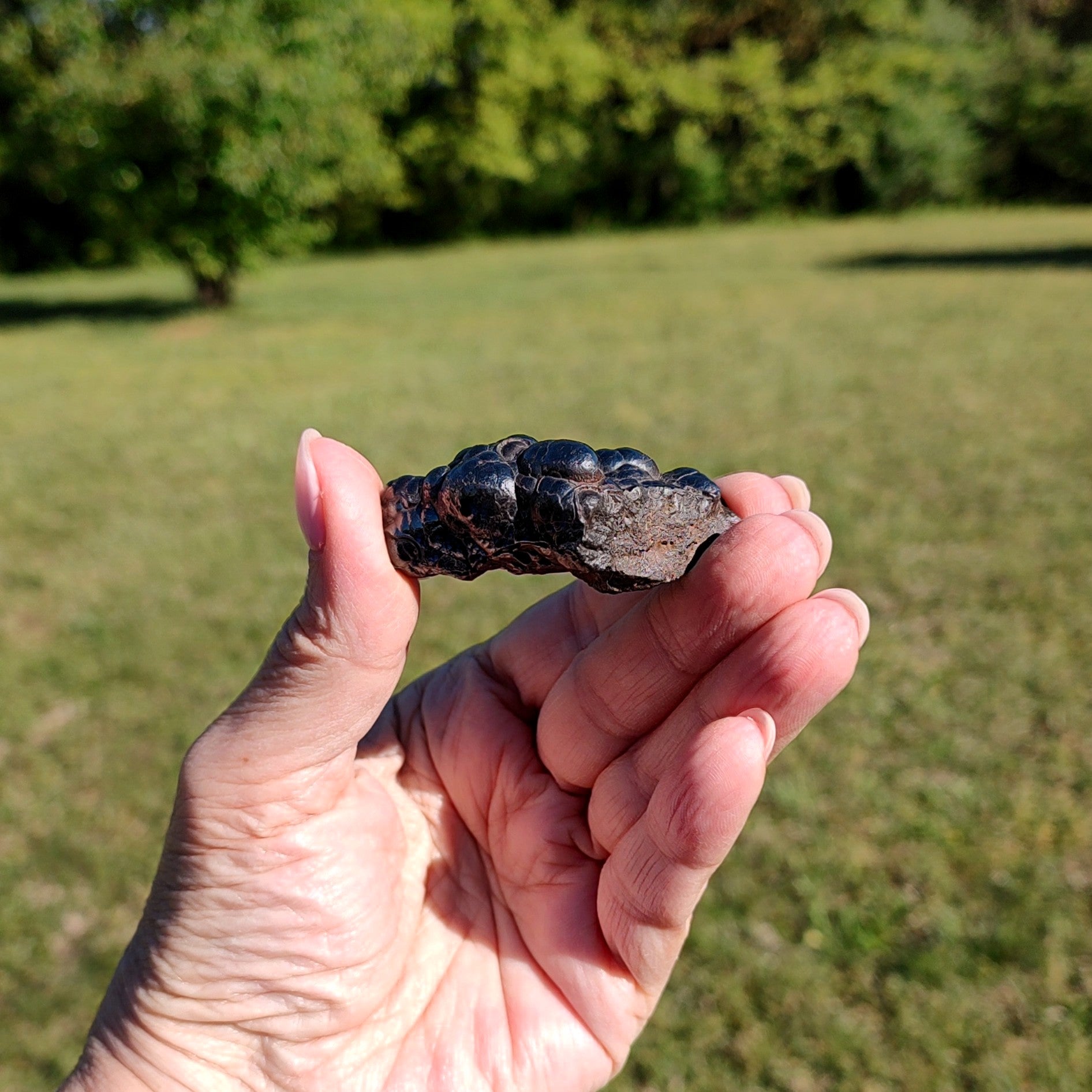 Hand holding a dark stone against a blurred green outdoor background.