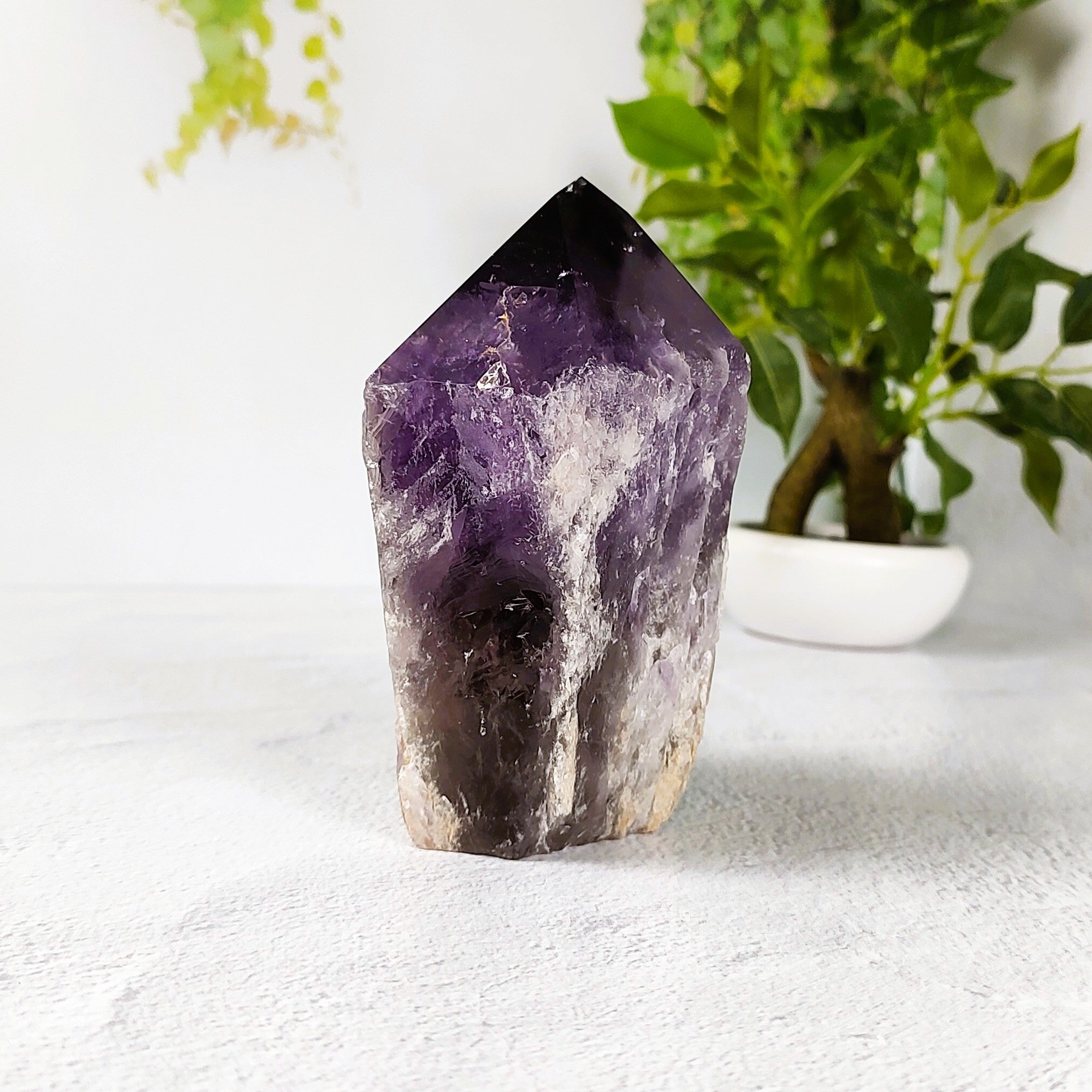 Amethyst crystal on a white surface with a plant in the background.