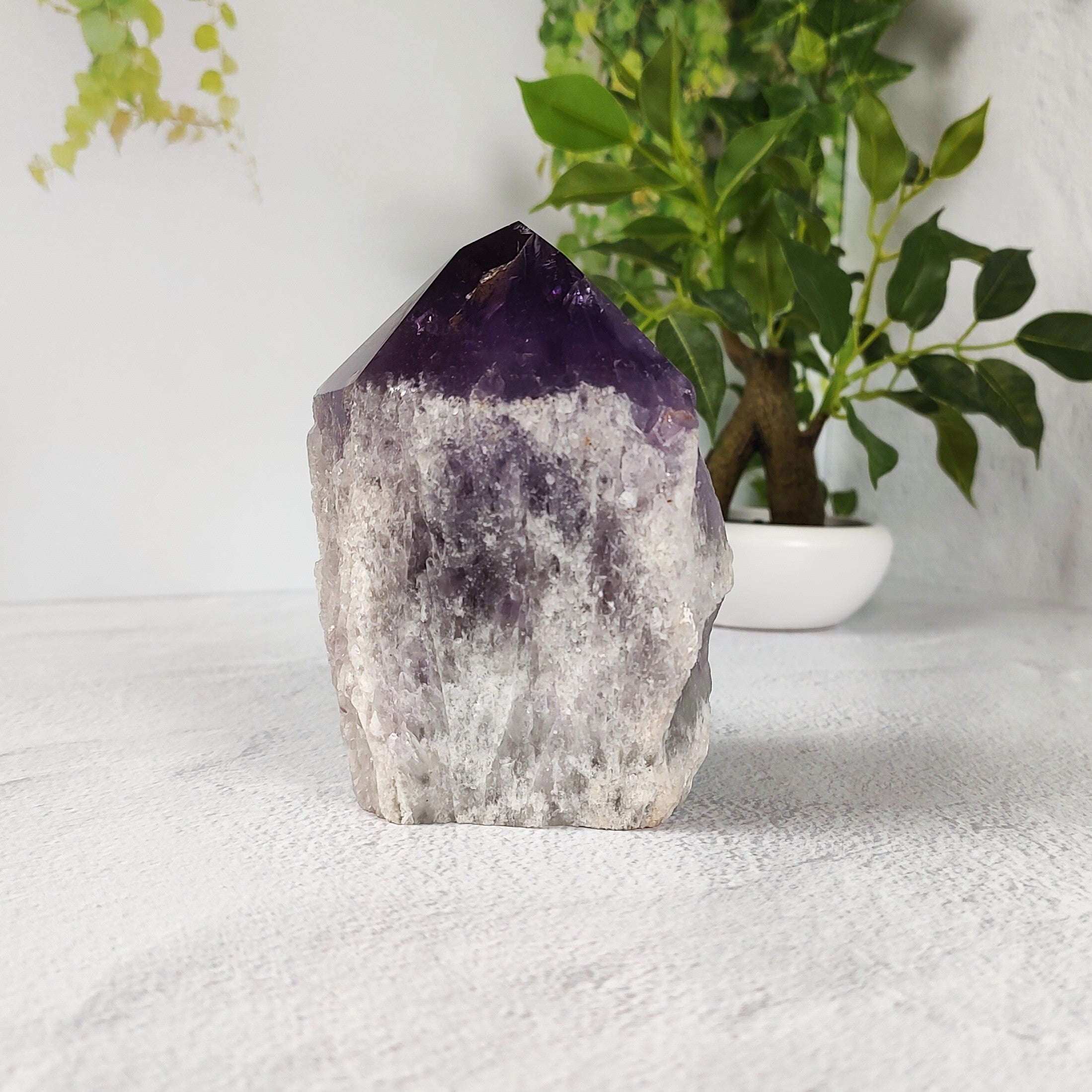 Amethyst crystal on a white surface with a plant in the background.