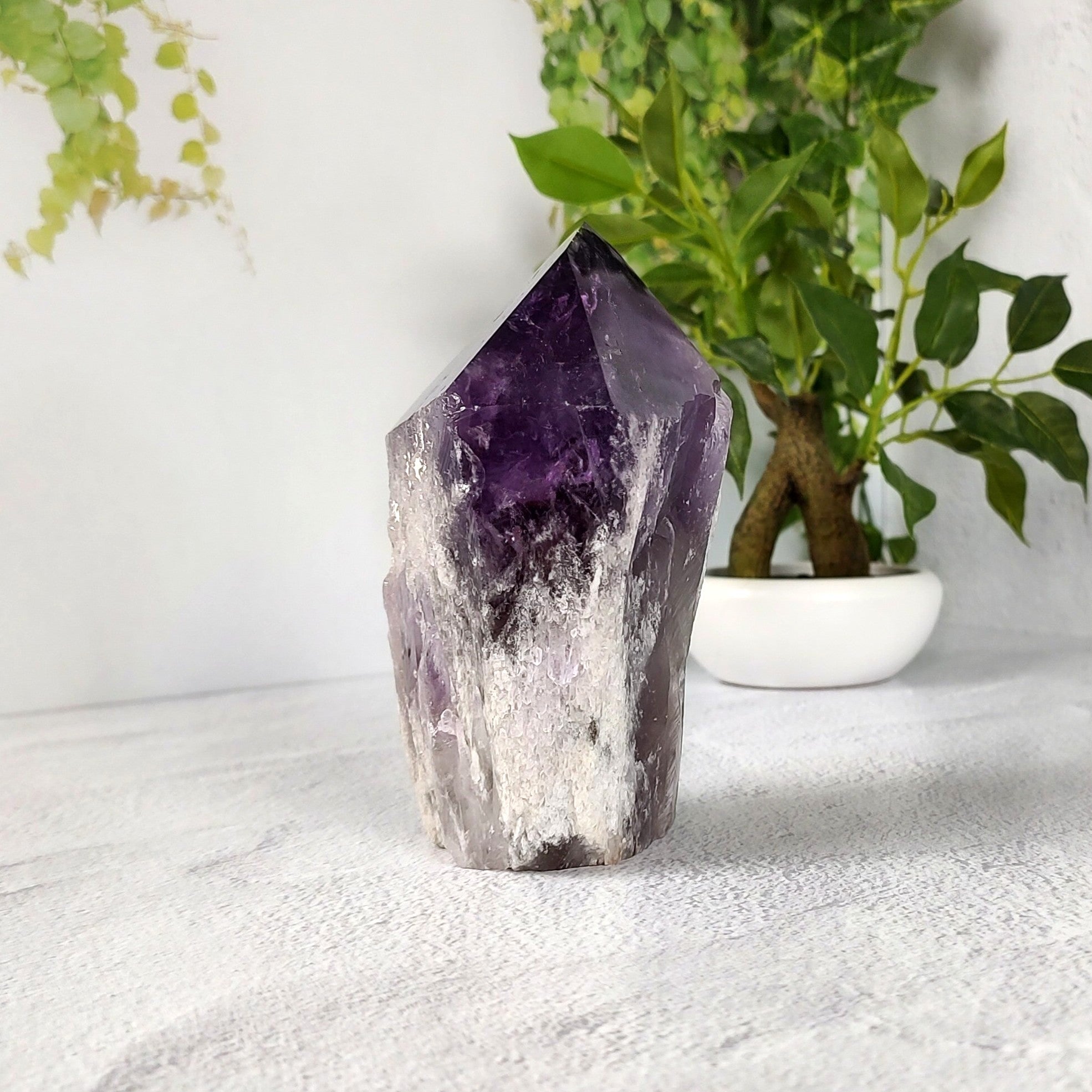 Amethyst crystal on a white surface with plants in the background.