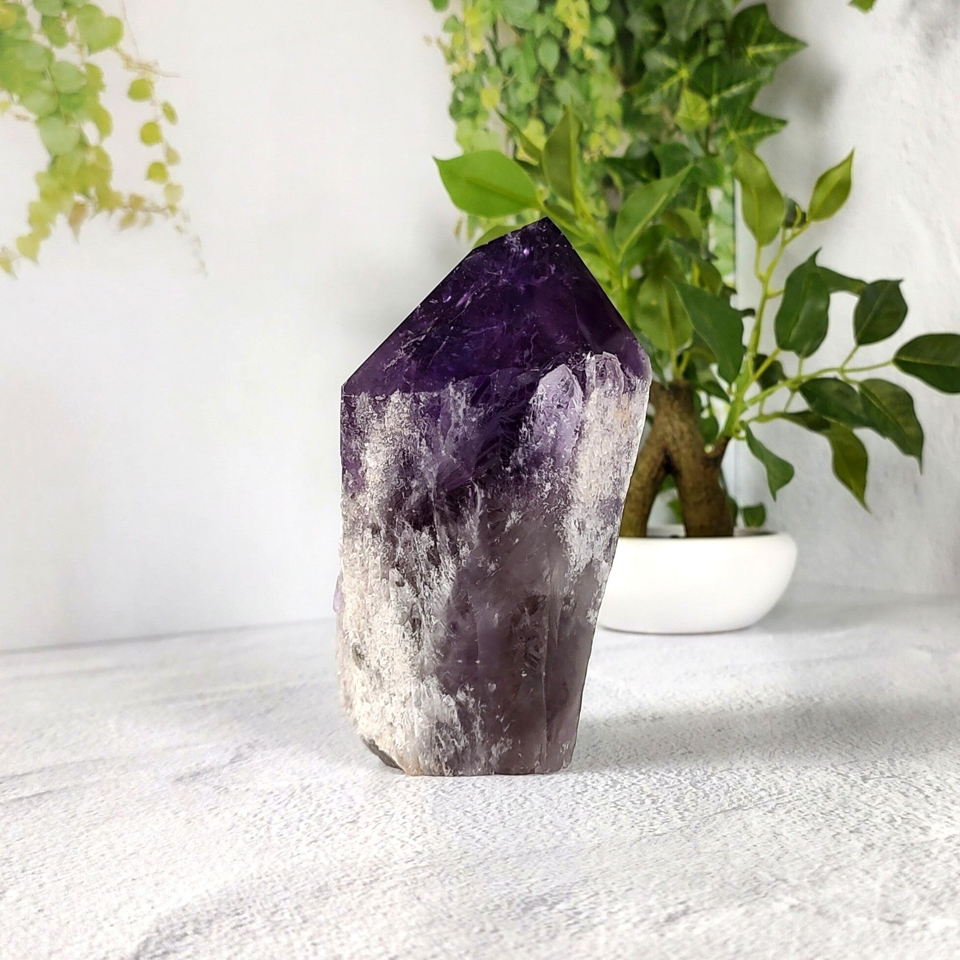 Amethyst crystal on a white surface with green plants in the background.