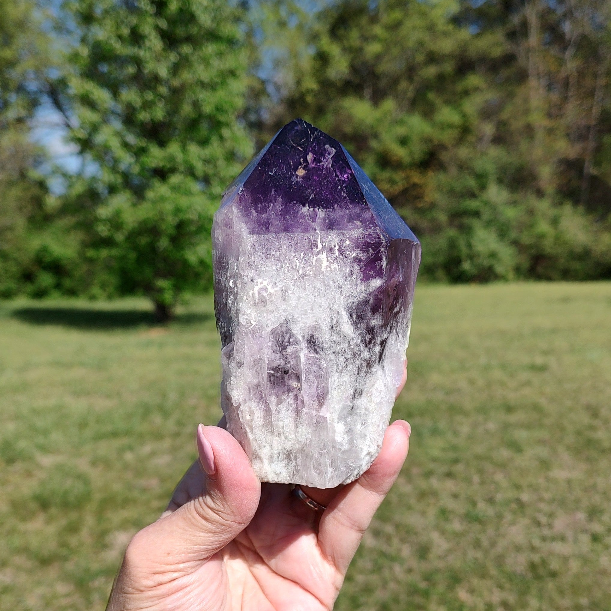 Amethyst crystal held in a hand with a natural outdoor background.