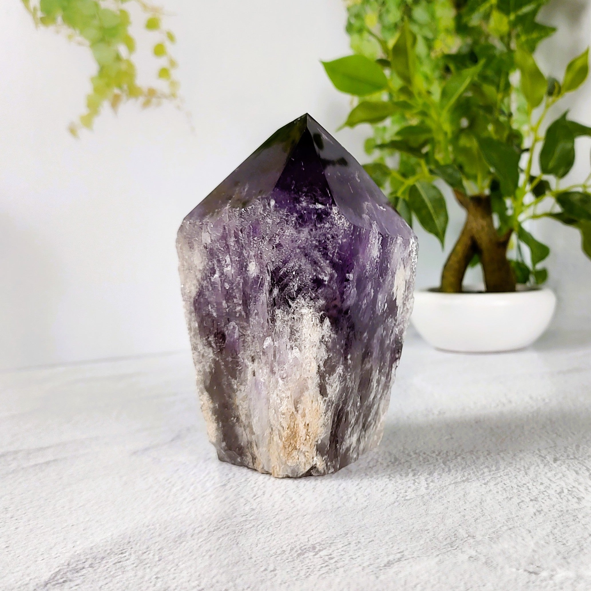 Amethyst crystal on a white surface with a plant in the background.