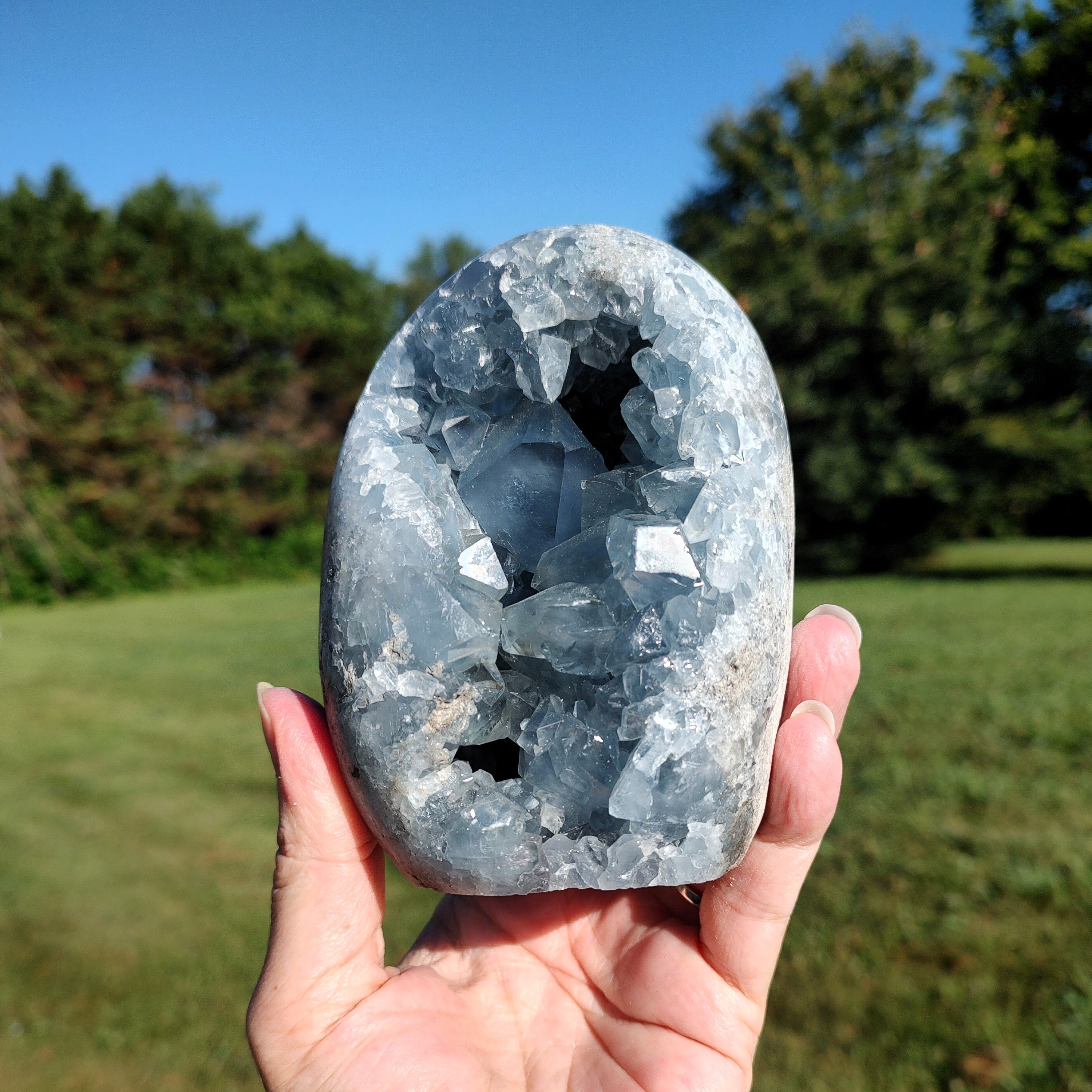 Person holding a large celestite crystal geode outdoors with greenery in the background.