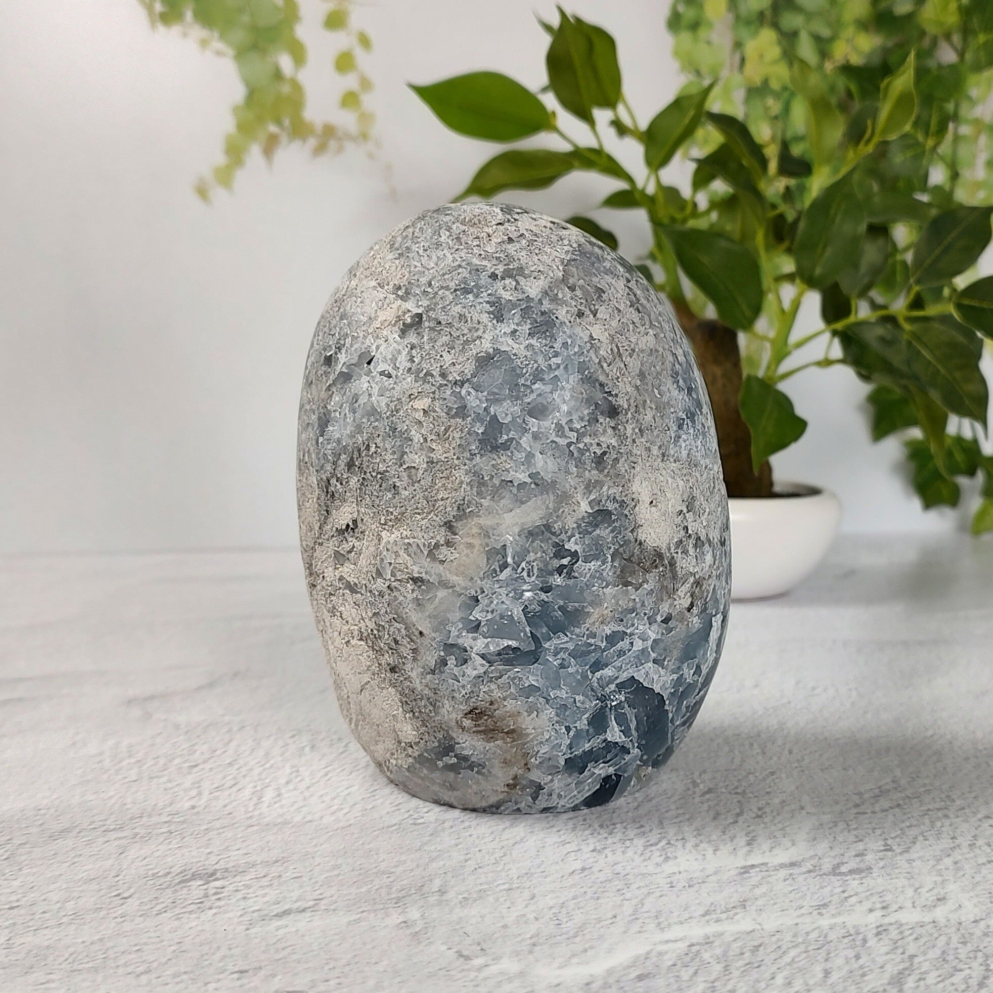 Back view of a celestite geode freeform against a white background with greenery.