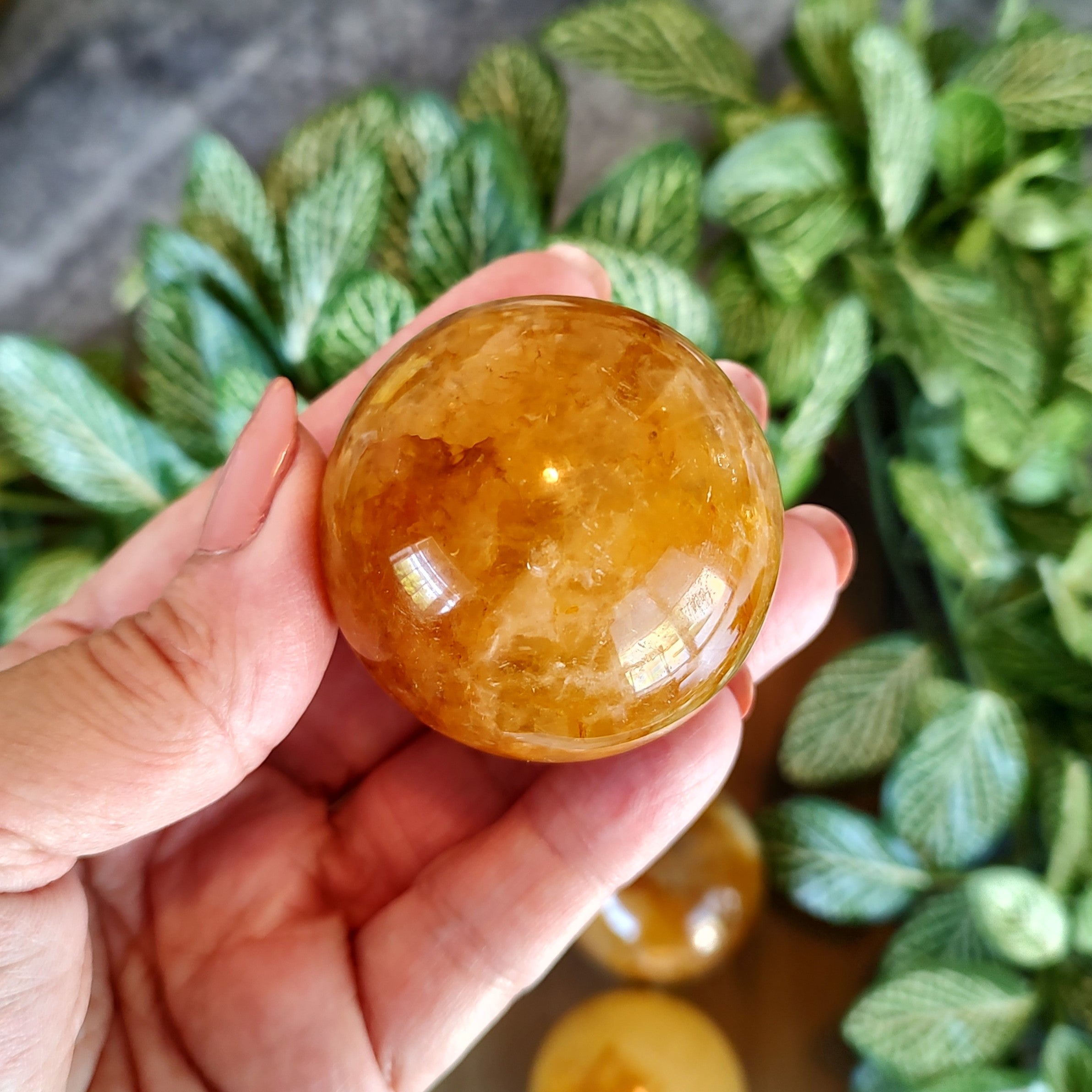 Hand holding a yellow hematoid quartz sphere in front of green leaves in a blurred background.