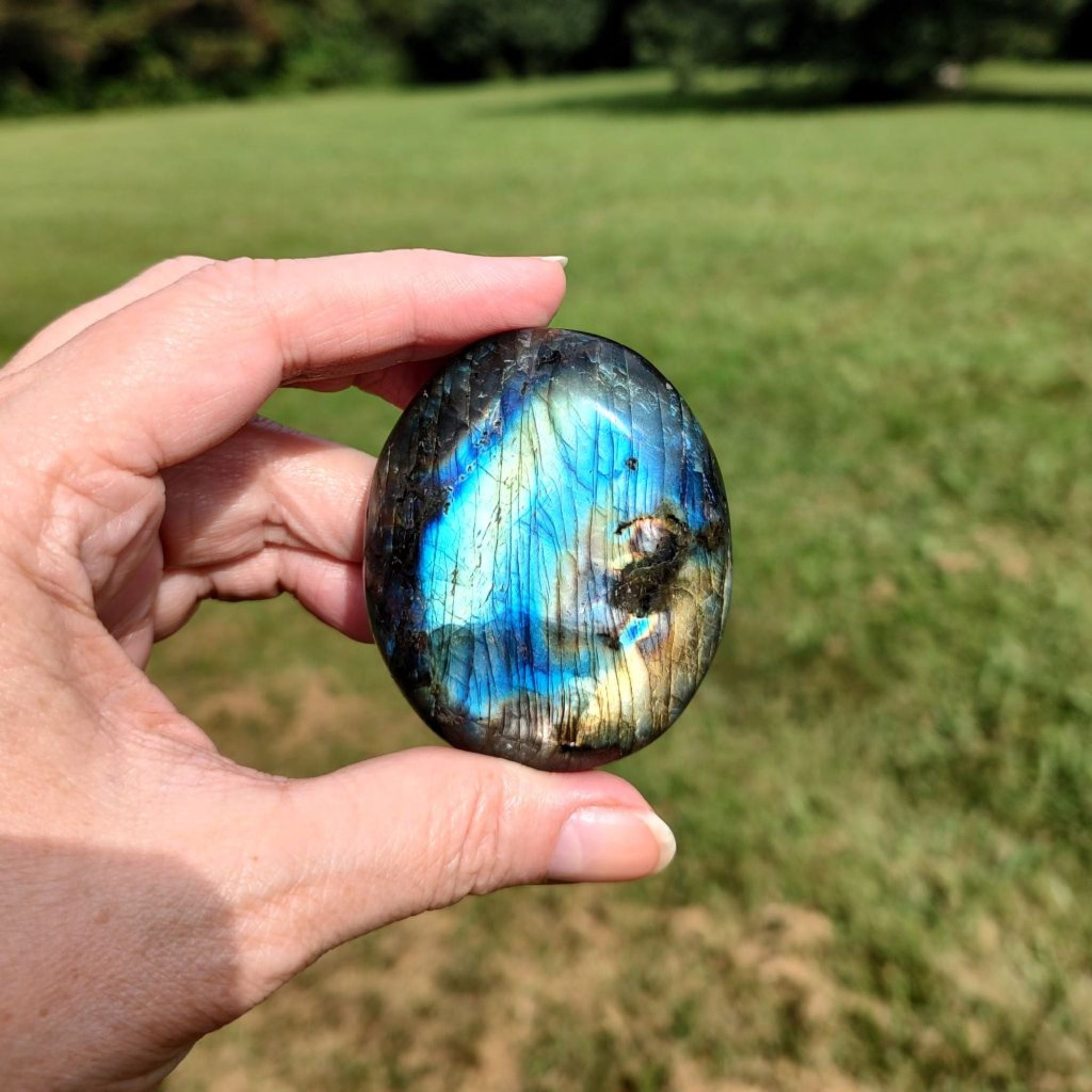 Hand holding a labradorite palm stone with flashes of blue and gold against a grassy background.