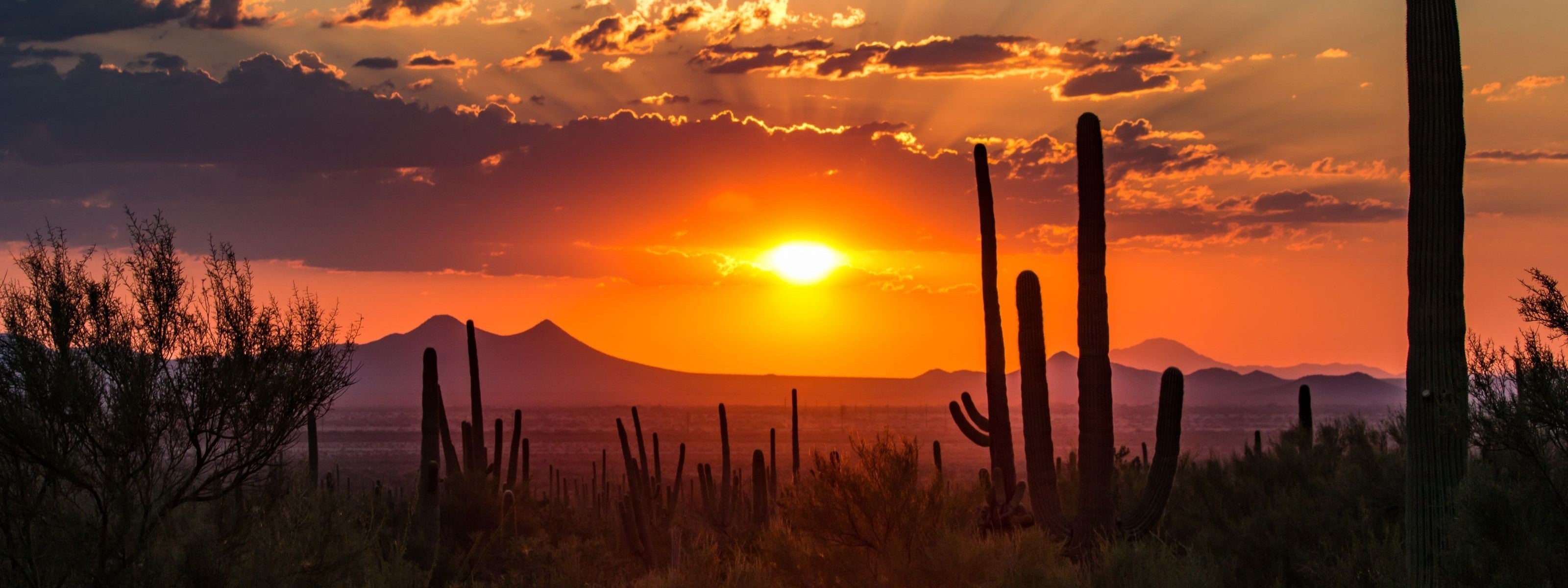 Sunset in Arizona, against a desert landscape with cacti in the foreground and mountains in the background.