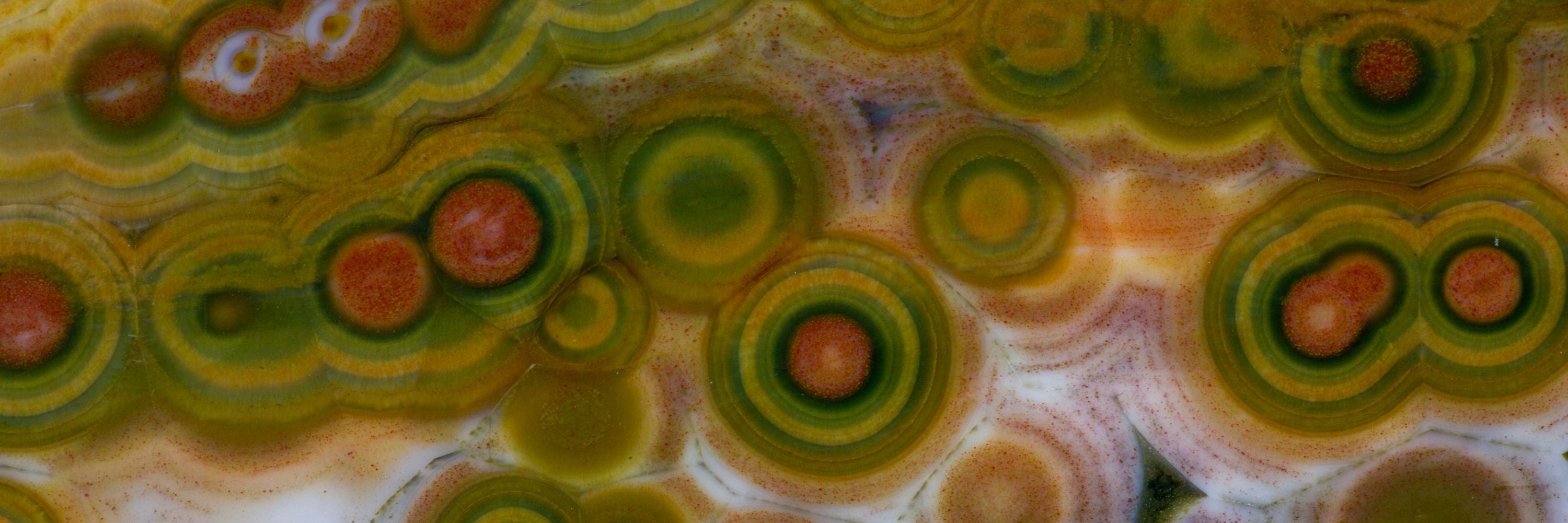 Ocean Jasper®