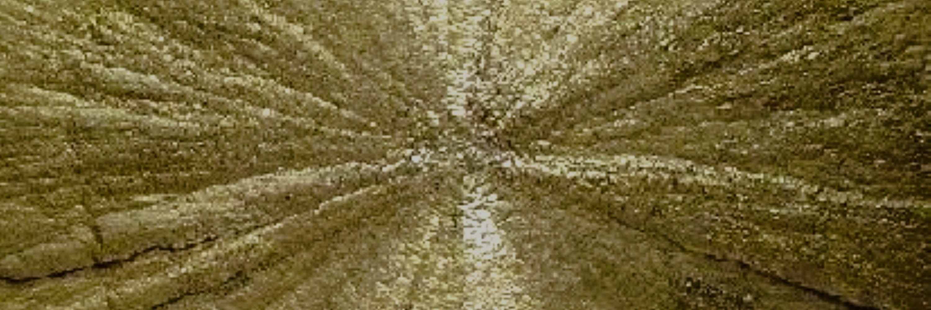 Pyrite
