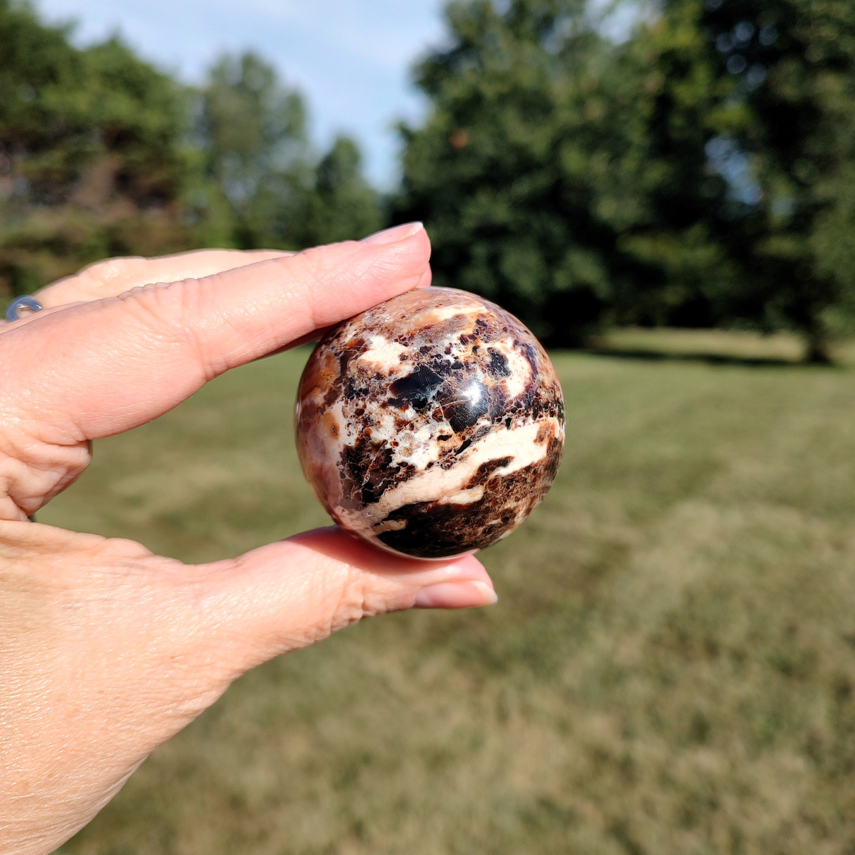 Hand holding a black opal sphere with a natural outdoor background.