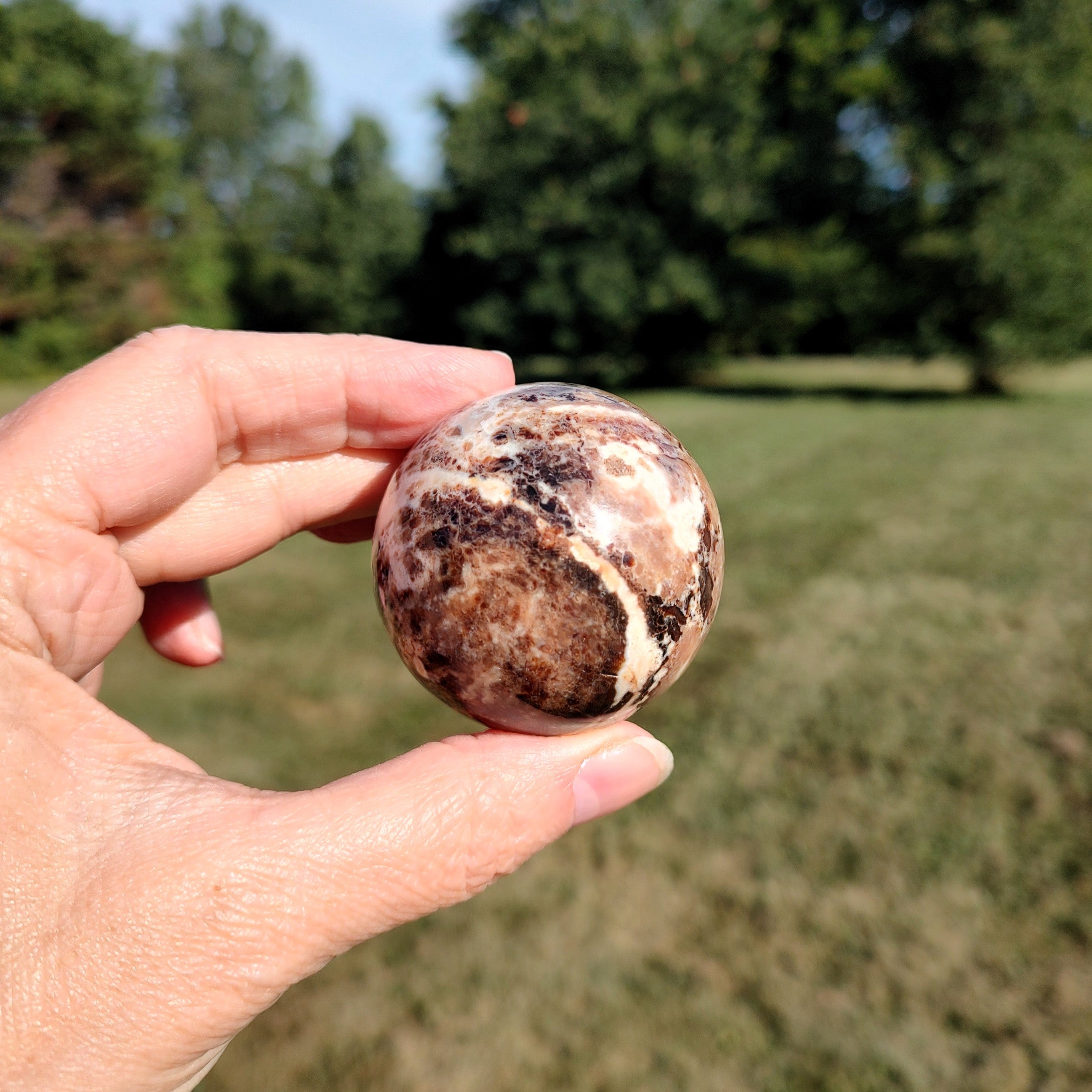 Hand holding a black opal sphere with a natural outdoor background.