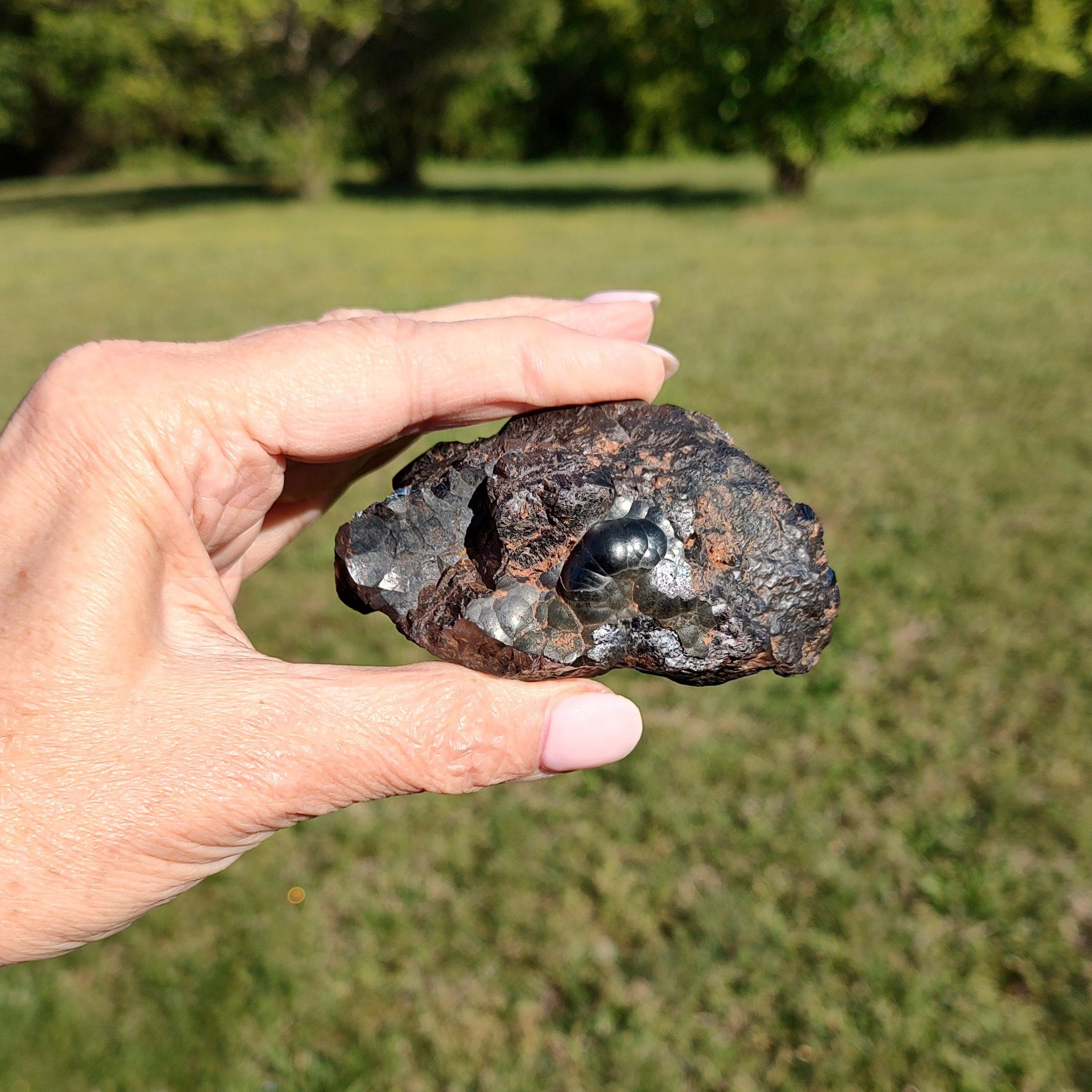 Hand holding a large hematite specimen against a grassy background.