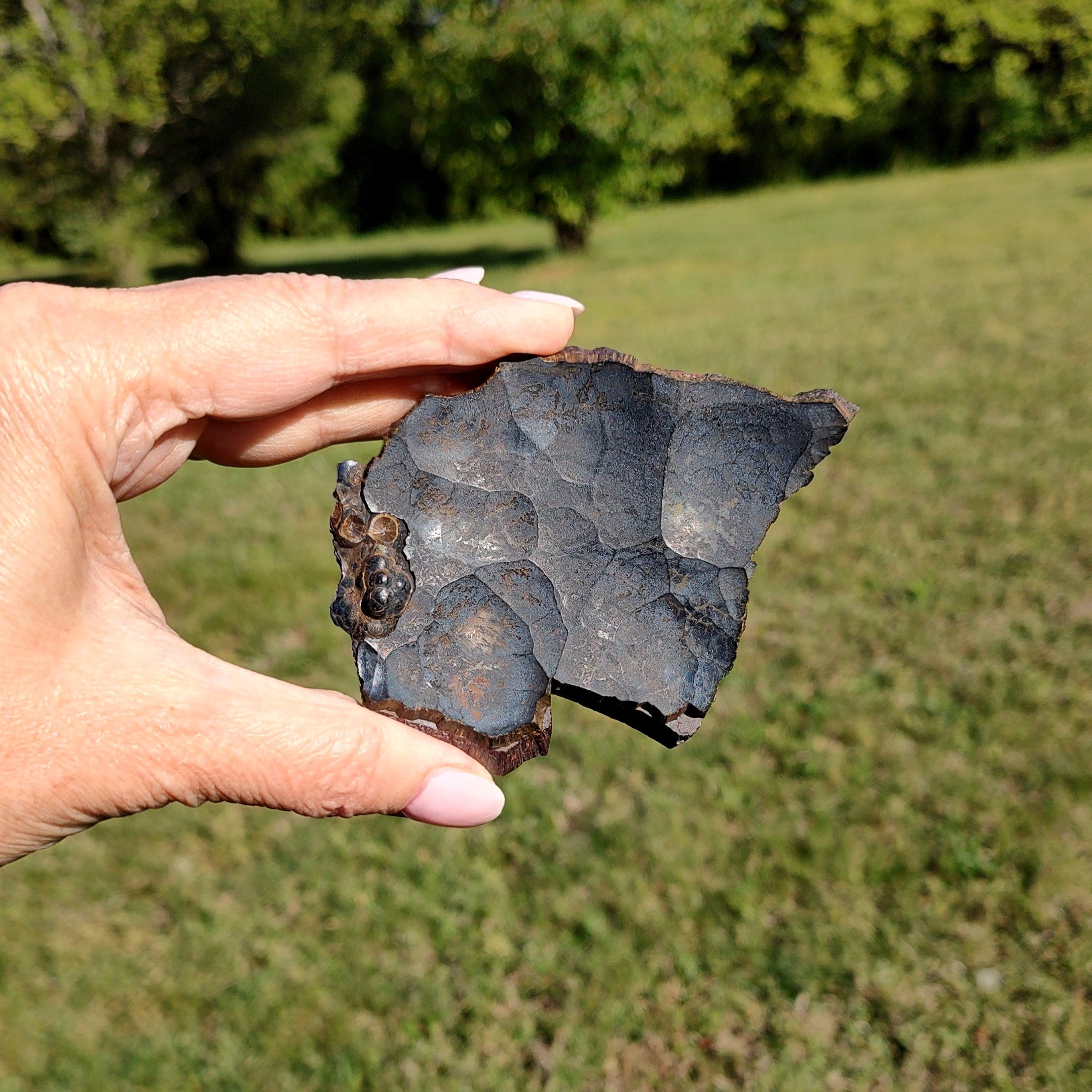 Hand holding a large, raw hematite specimen with a natural outdoor background.