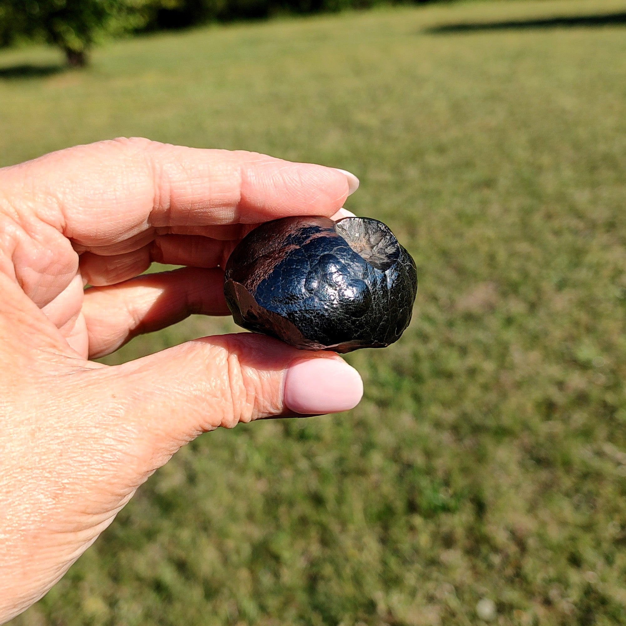Hand holding a dark stone against a grassy background.