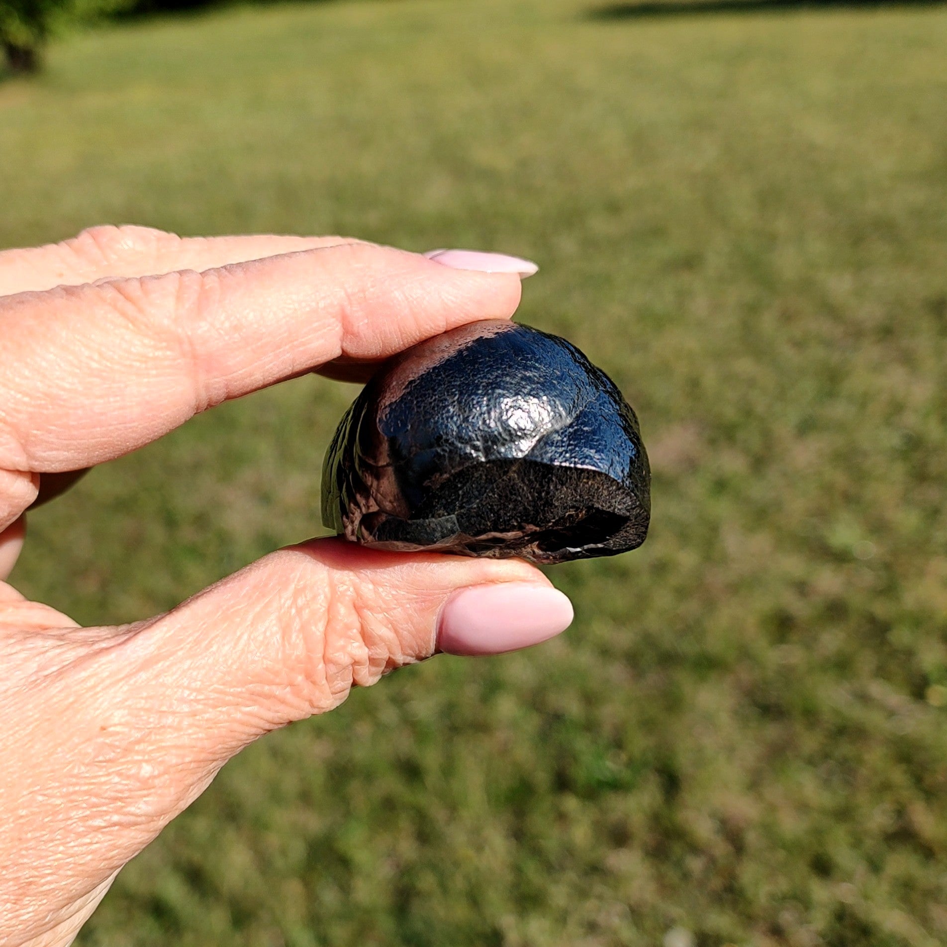 Hand holding a black stone against a grassy background.