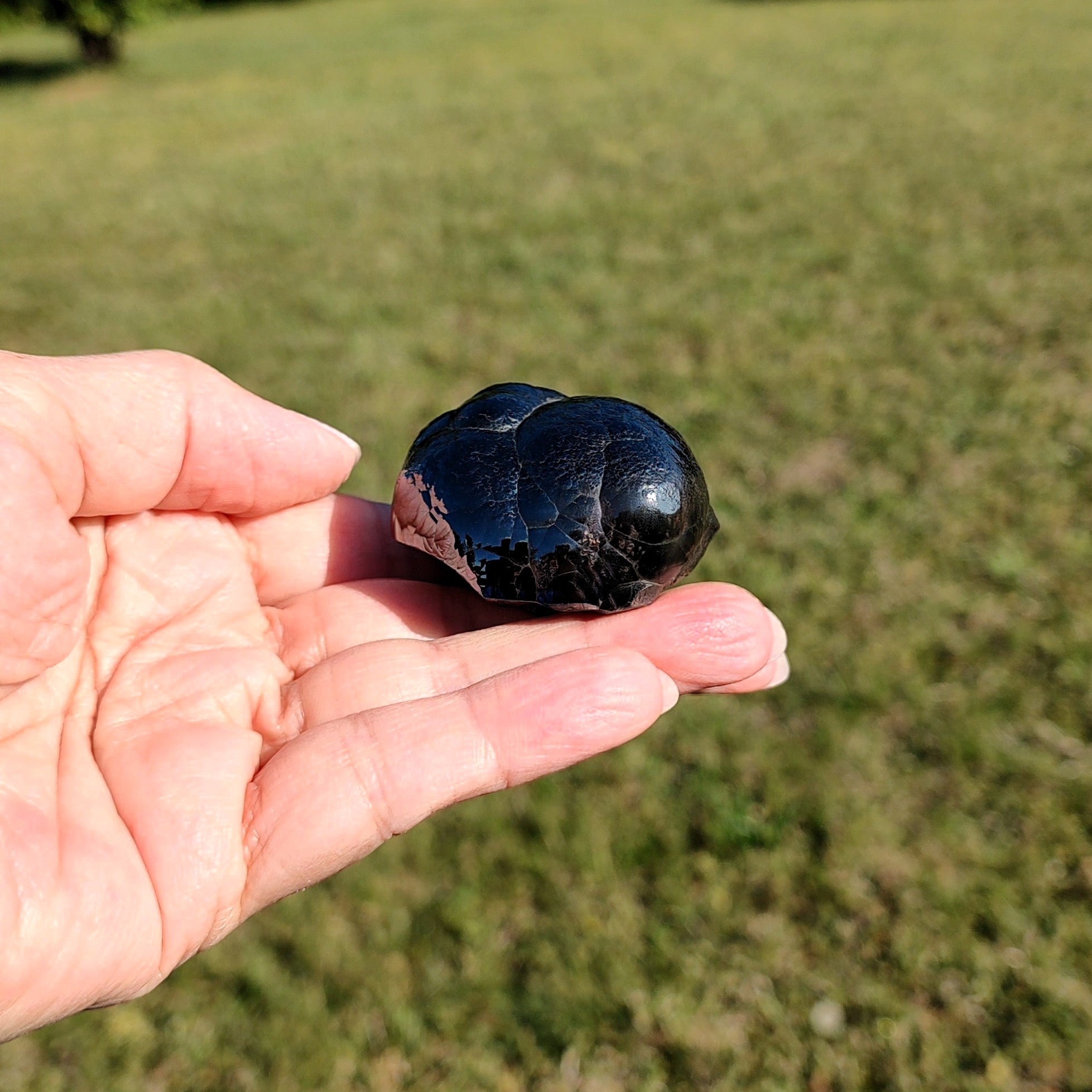 Hand holding a black stone against a grassy background.