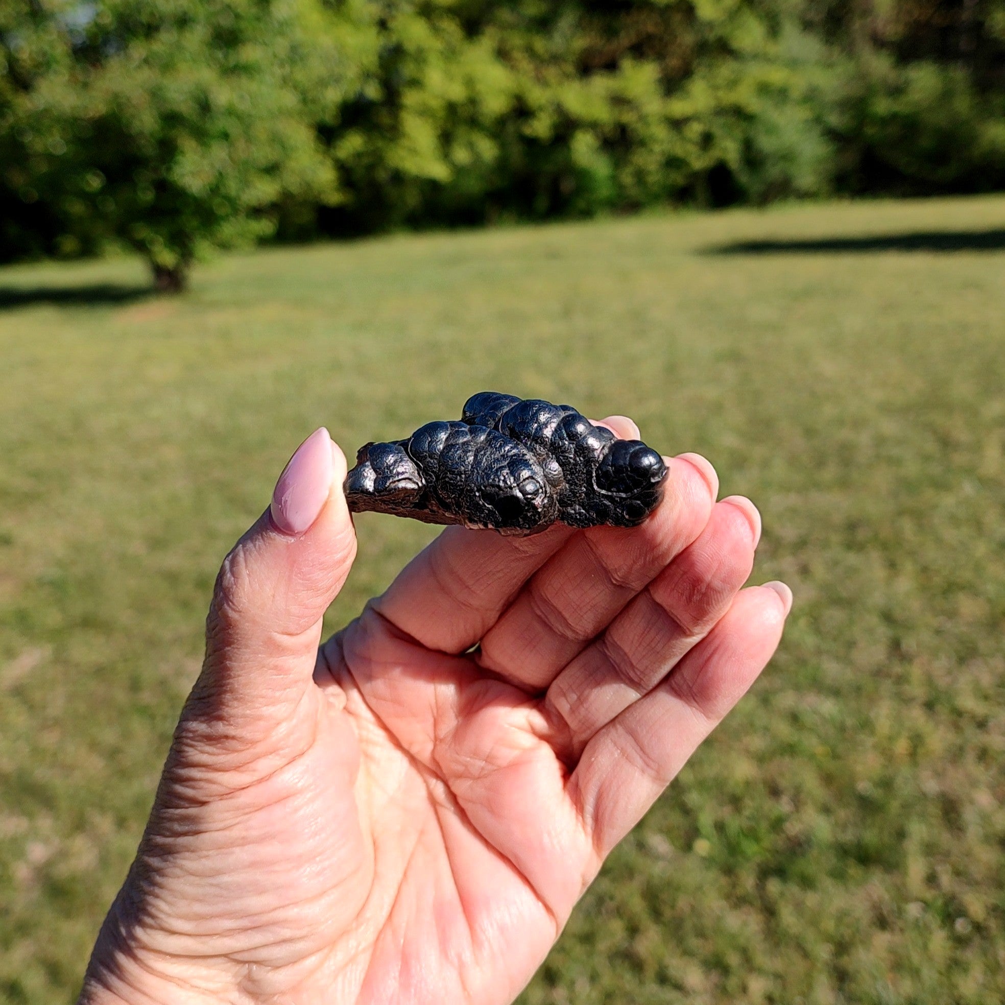 Hand holding a small black mineral specimen against a blurred green outdoor background.
