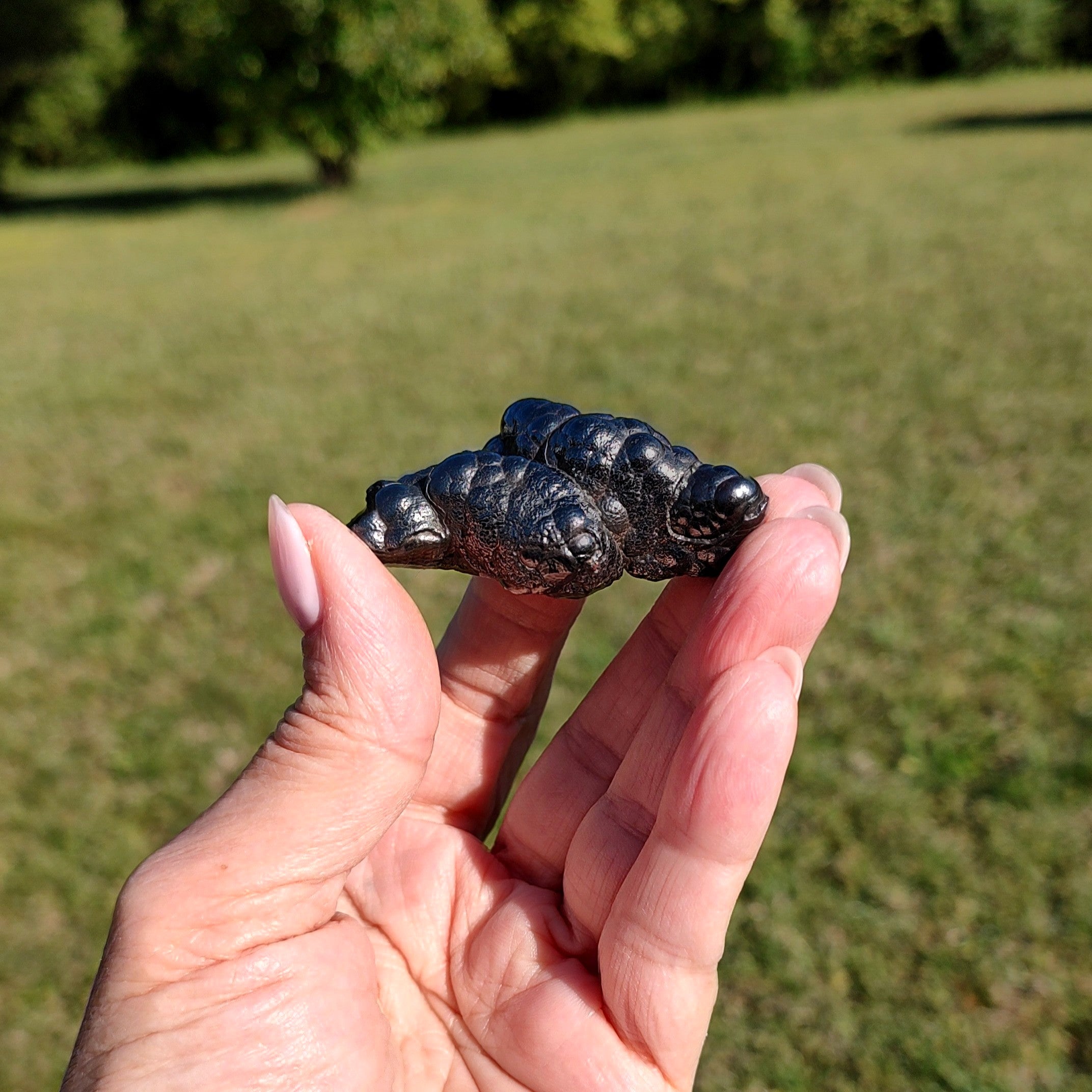 Hand holding a black stone against a blurred green outdoor background.