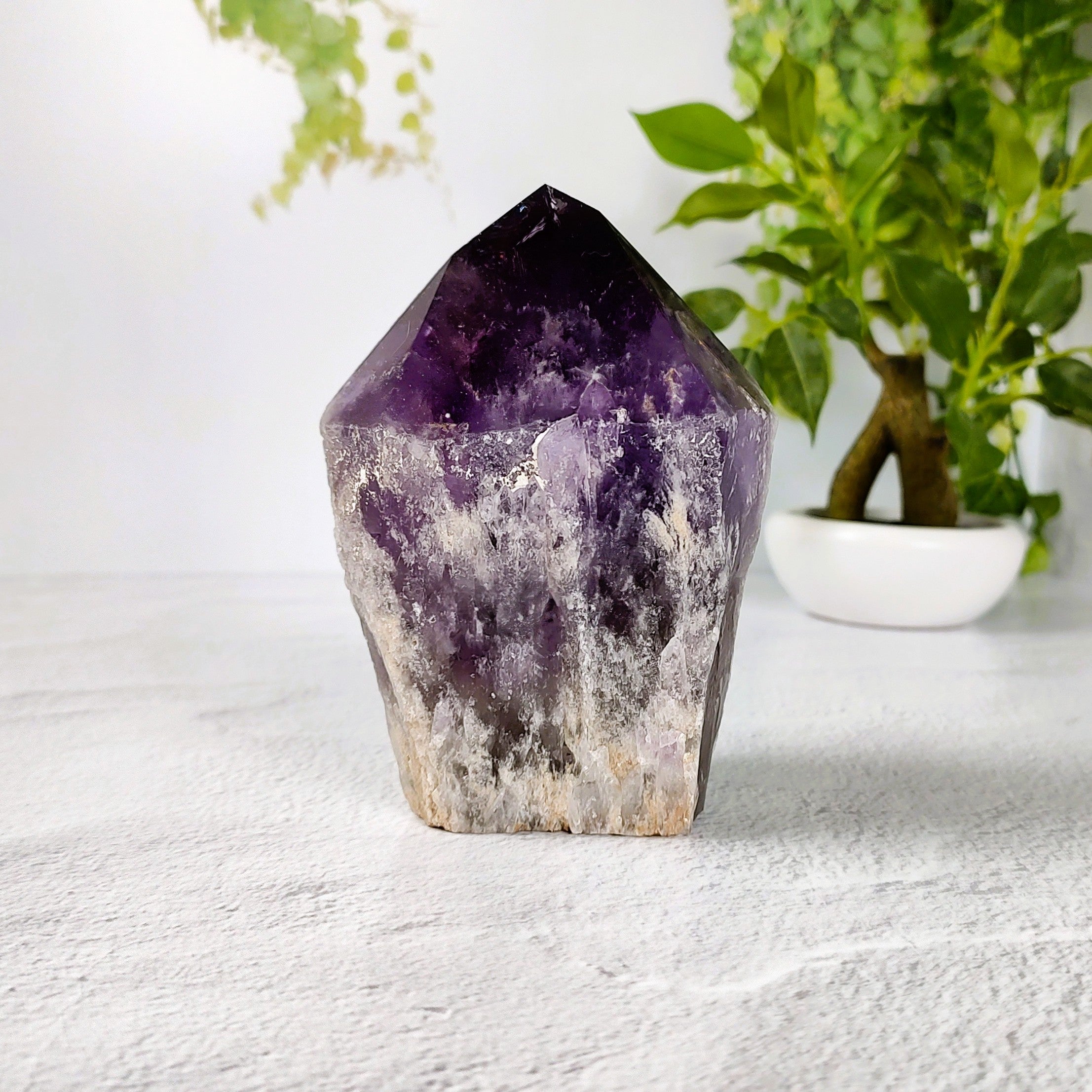 Amethyst crystal on a white surface with plants in the background.