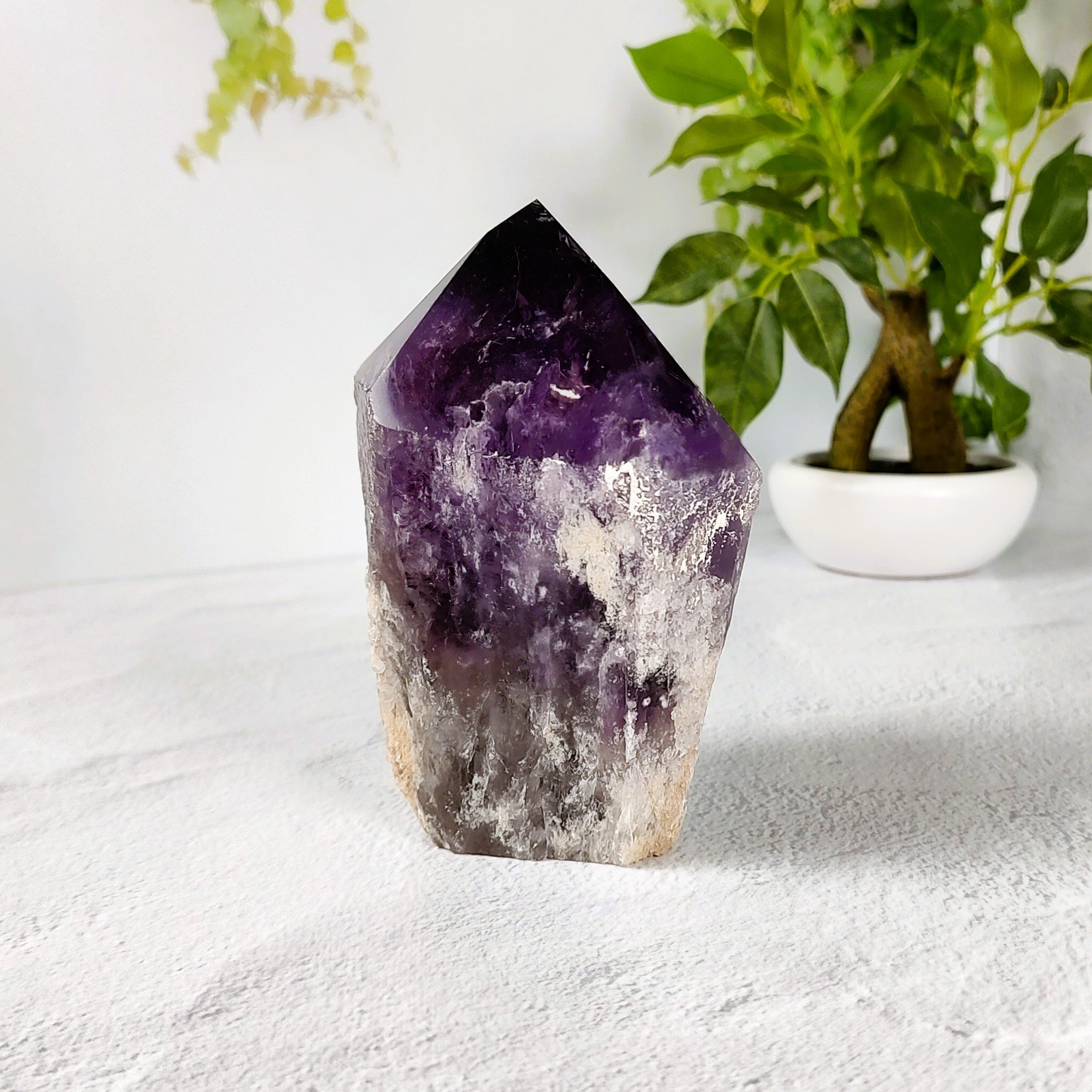 Amethyst crystal on a white surface with a plant in the background.
