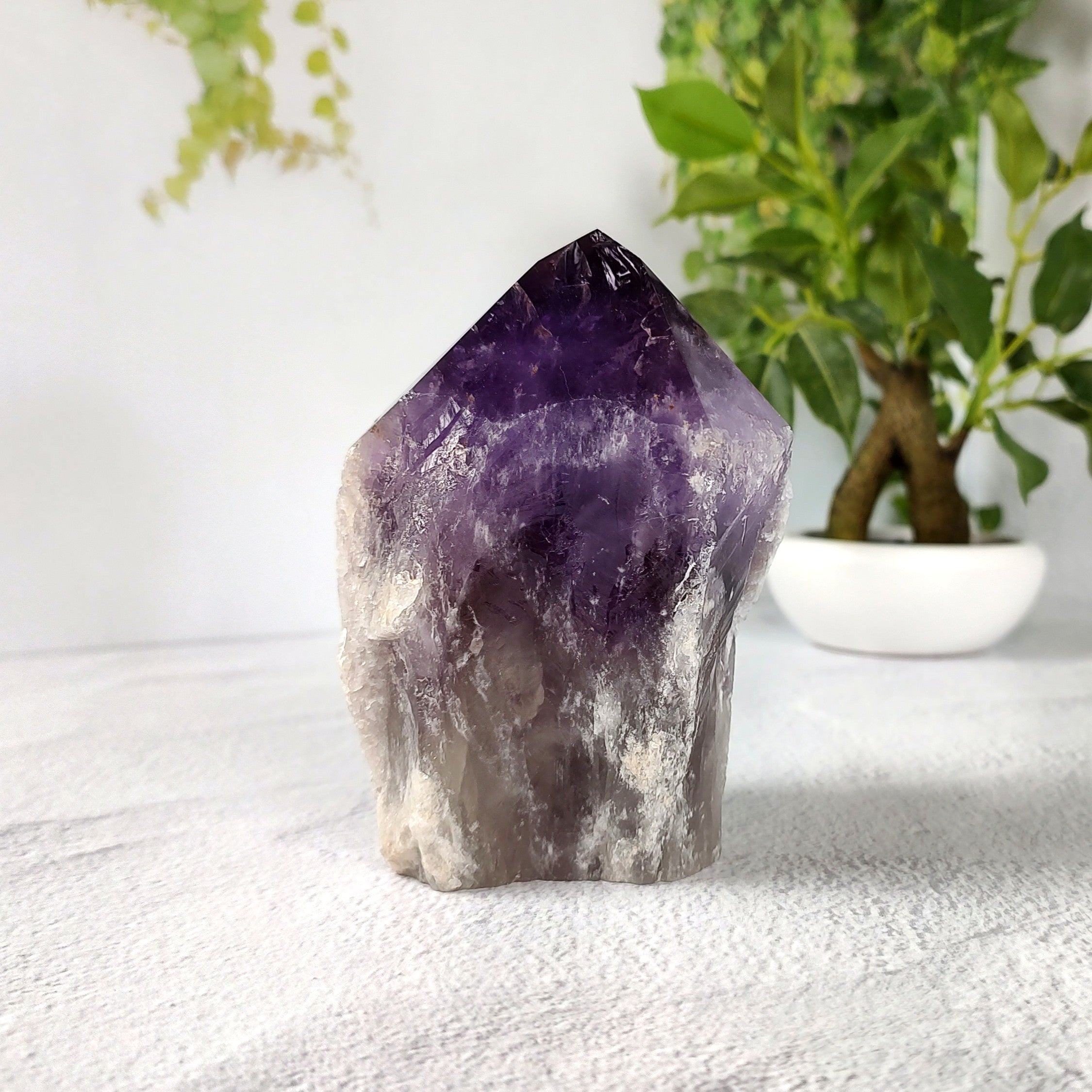 Amethyst crystal on a white surface with plants in the background.
