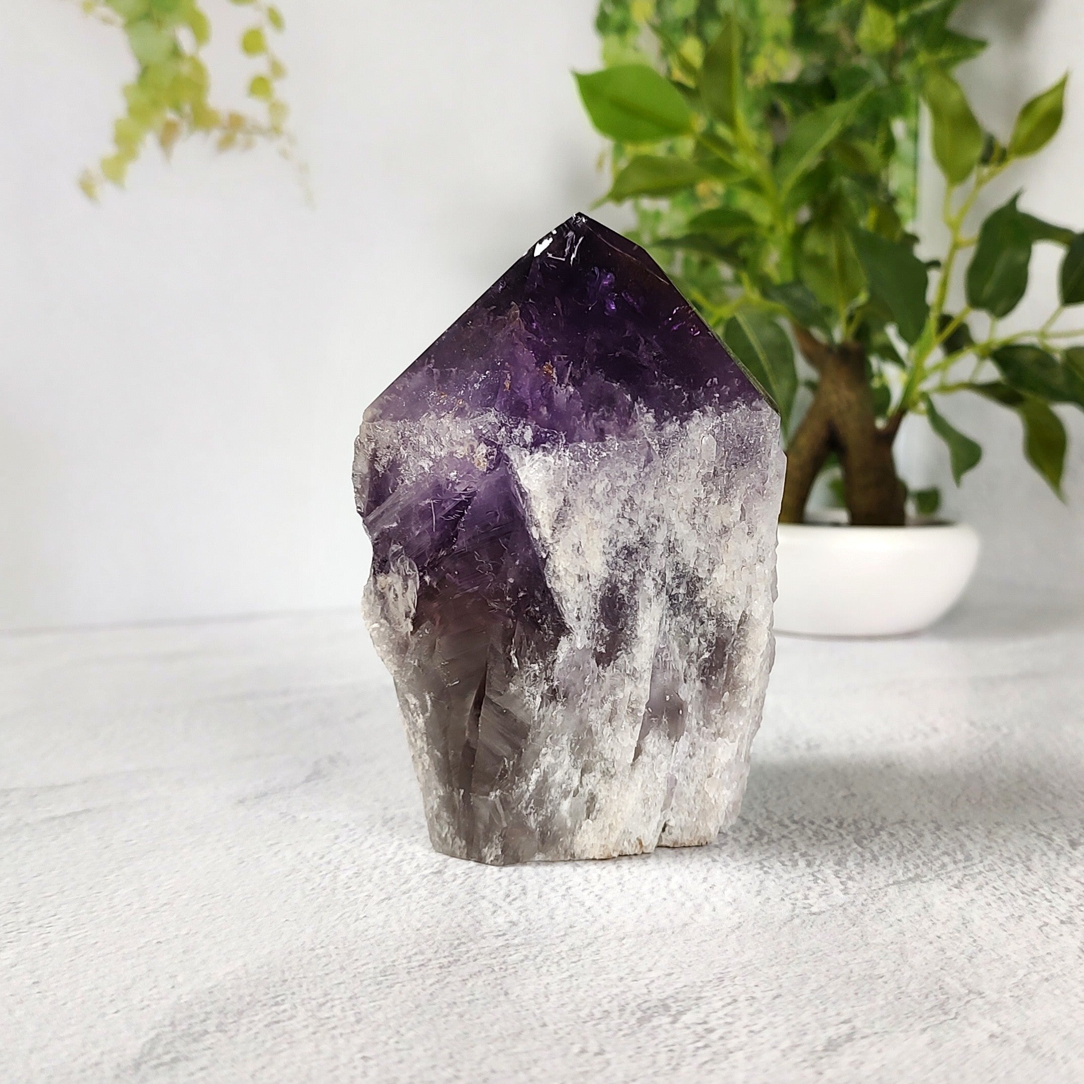 Amethyst crystal on a white surface with plants in the background.
