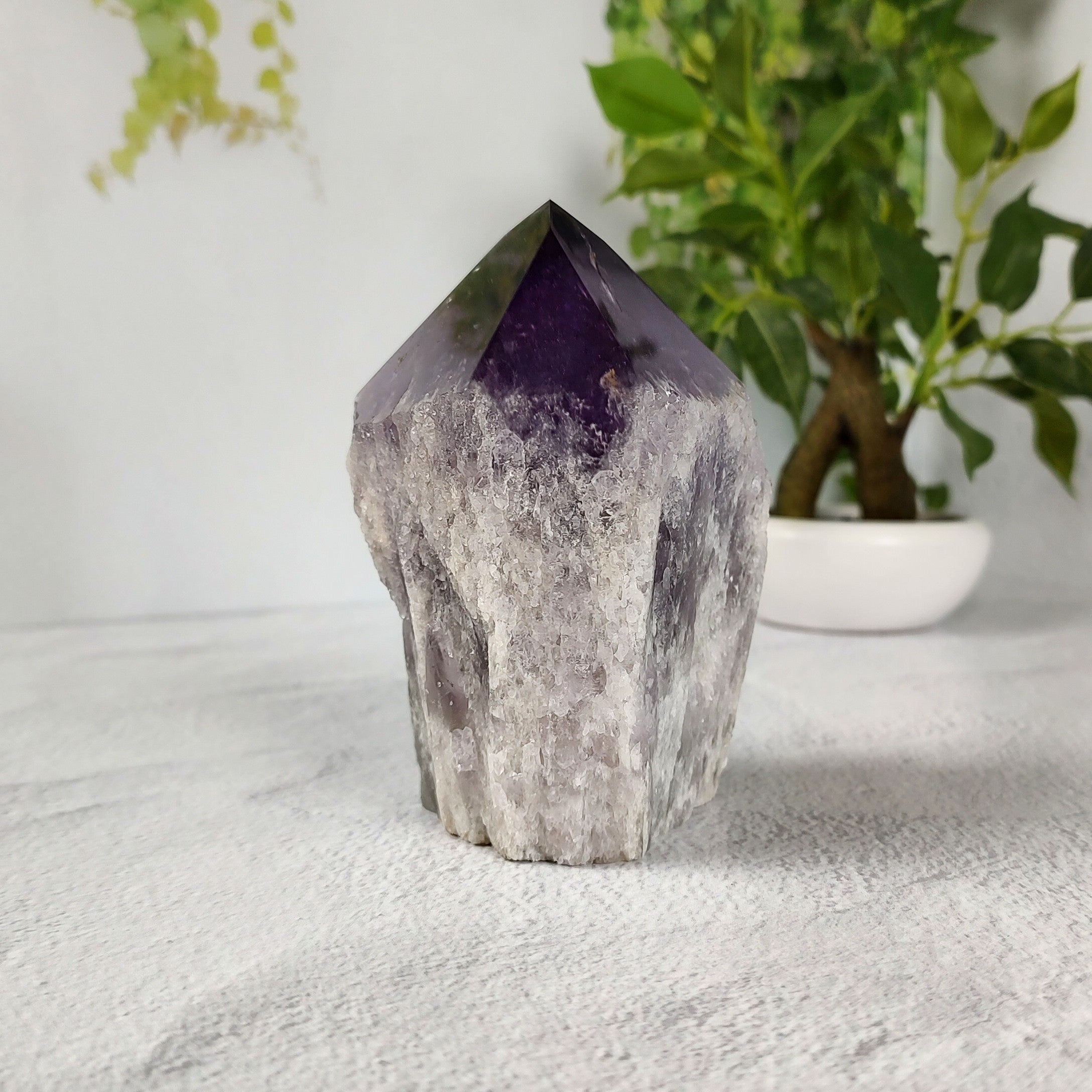 Large amethyst crystal on a white surface with a plant in the background.