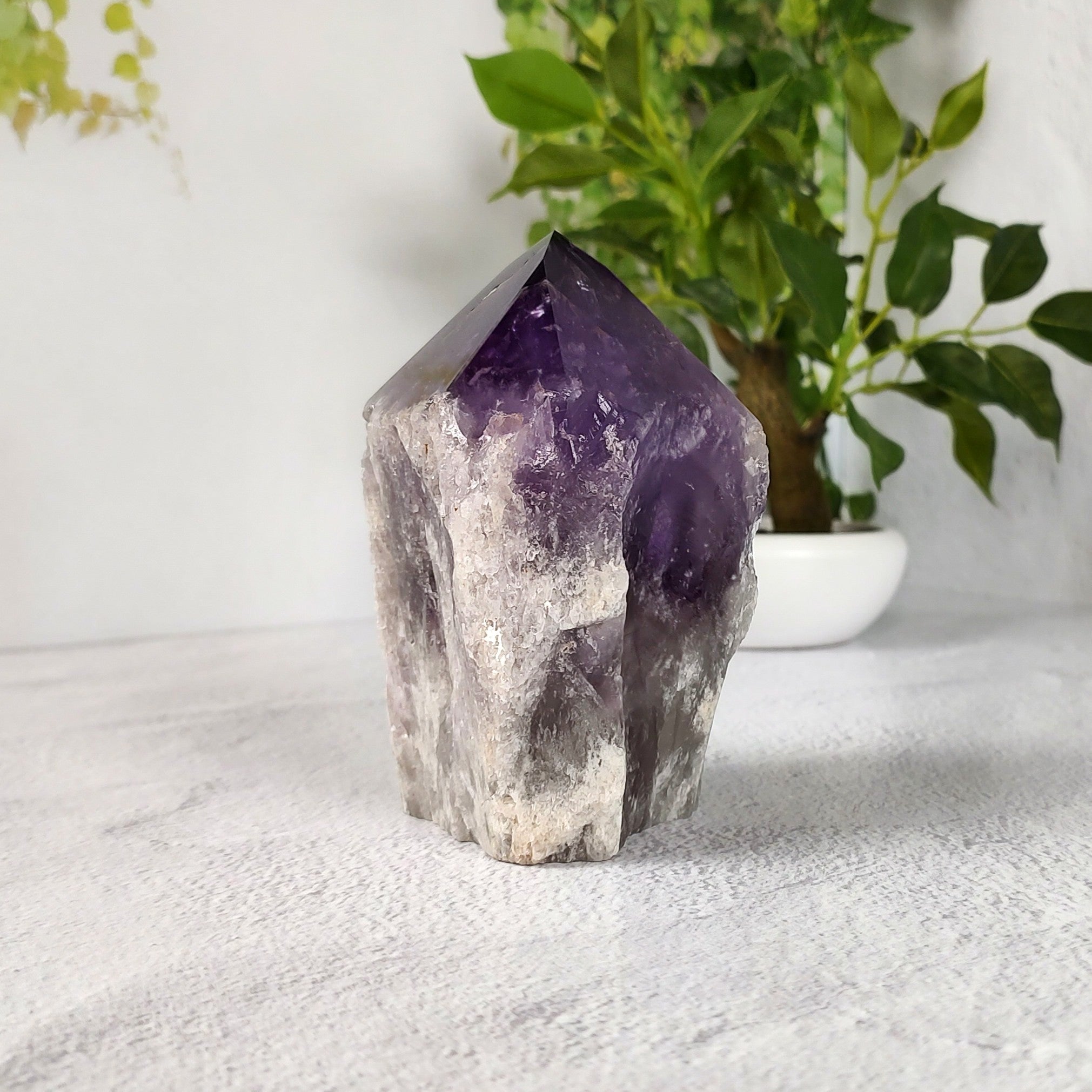 Amethyst crystal on a white surface with a plant in the background.