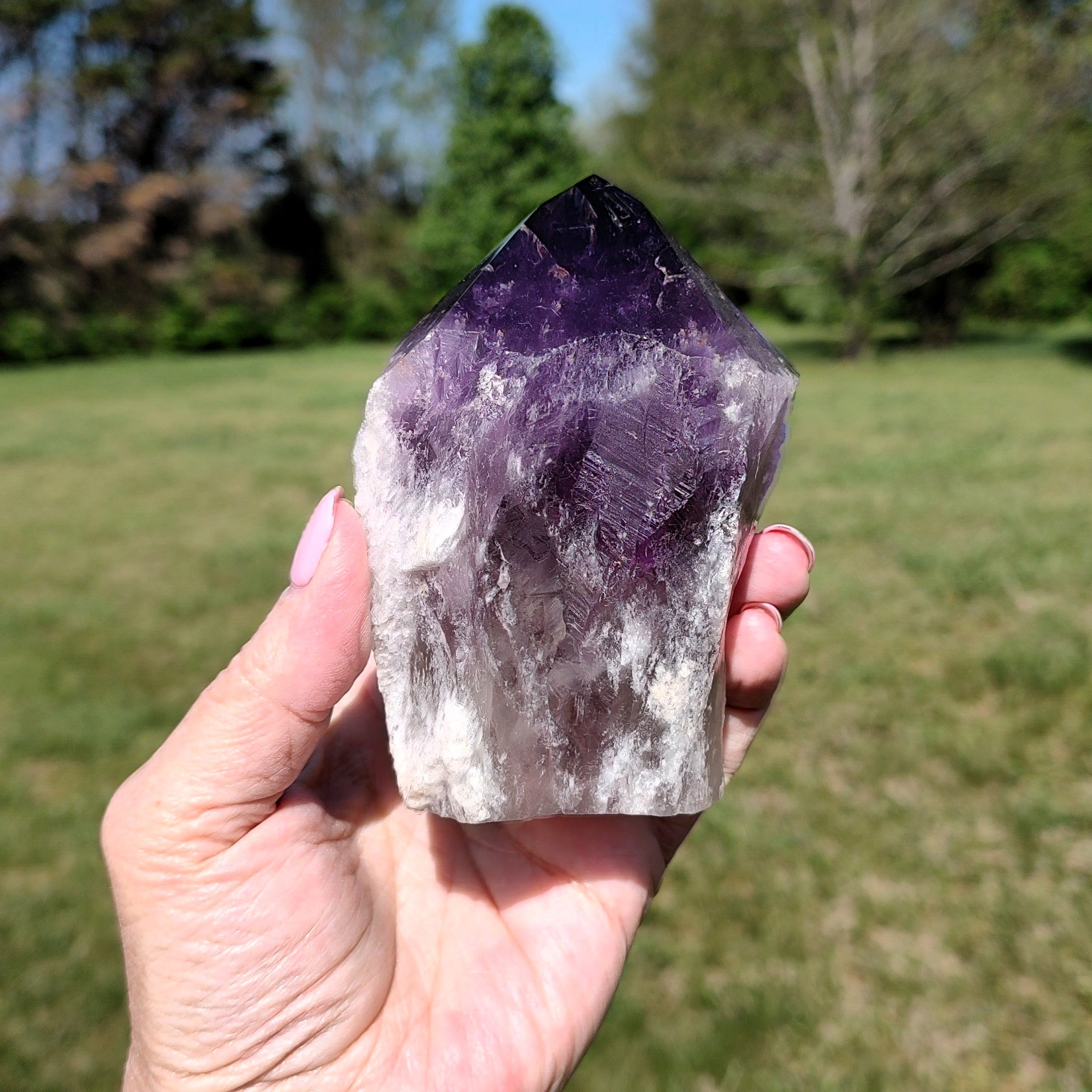 Hand holding a large amethyst crystal outdoors with greenery in the background.