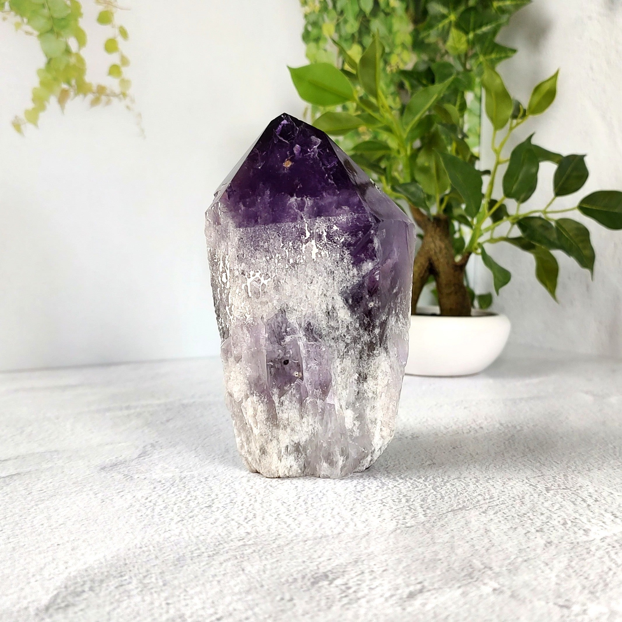 Amethyst crystal on a white surface with a plant in the background.