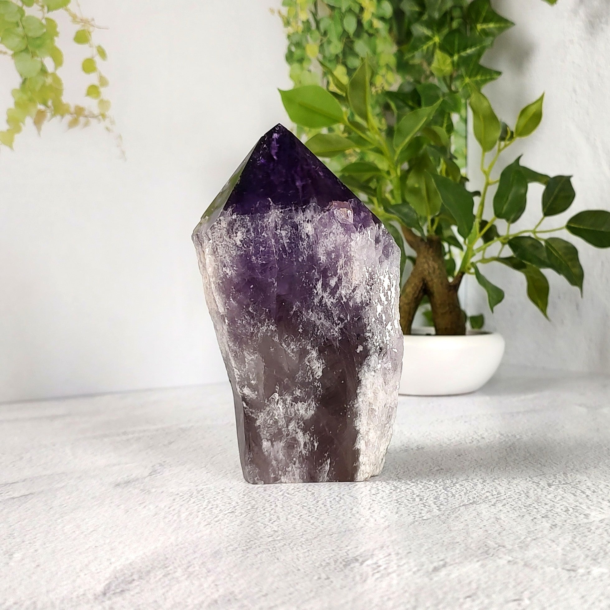 Amethyst crystal on a white surface with green plants in the background.
