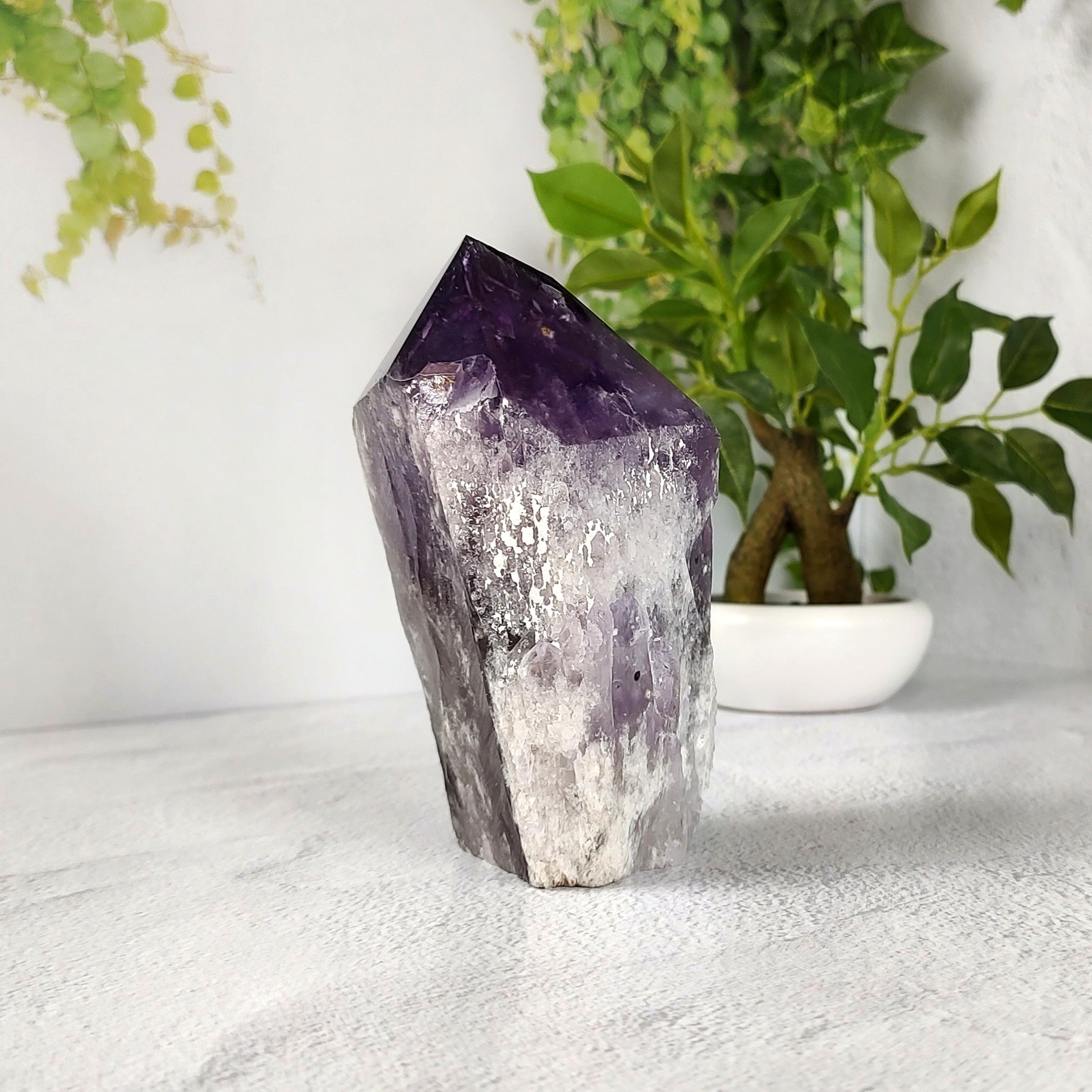 Amethyst crystal on a white surface with plants in the background.