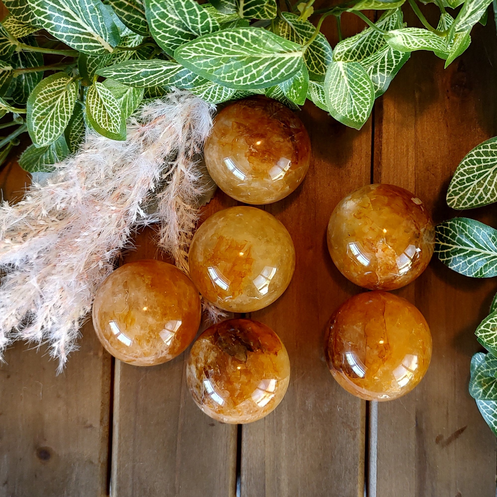 Six yellow hematoid quartz spheres wiith green leaves and pampas grass on a wooden surface. 