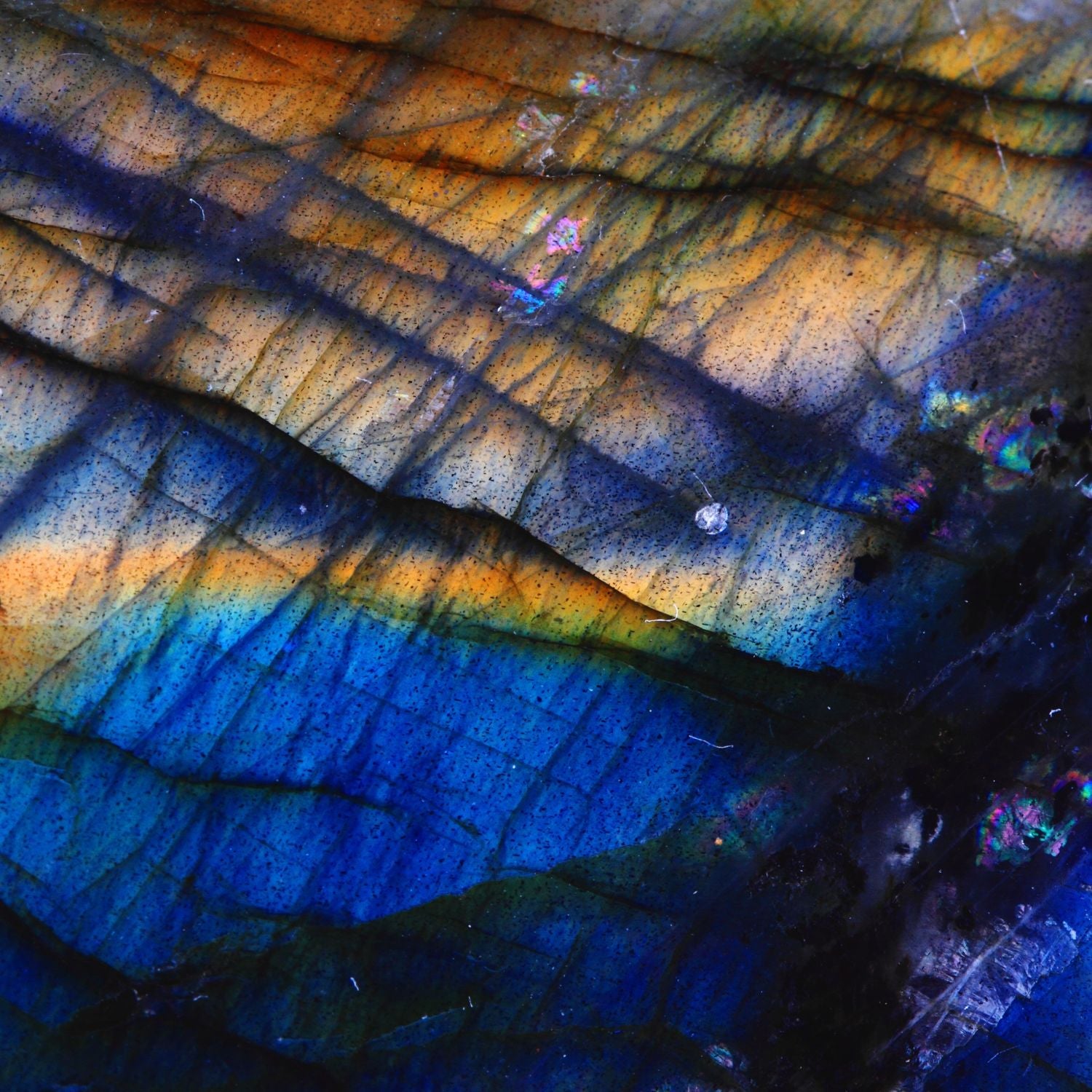 Close-up of labradorite showing beautiful flashes of blue, orange and gold.