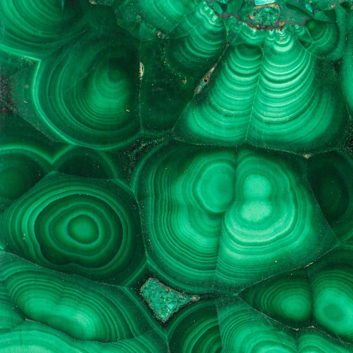 Close-up of green malachite with concentric patterns.