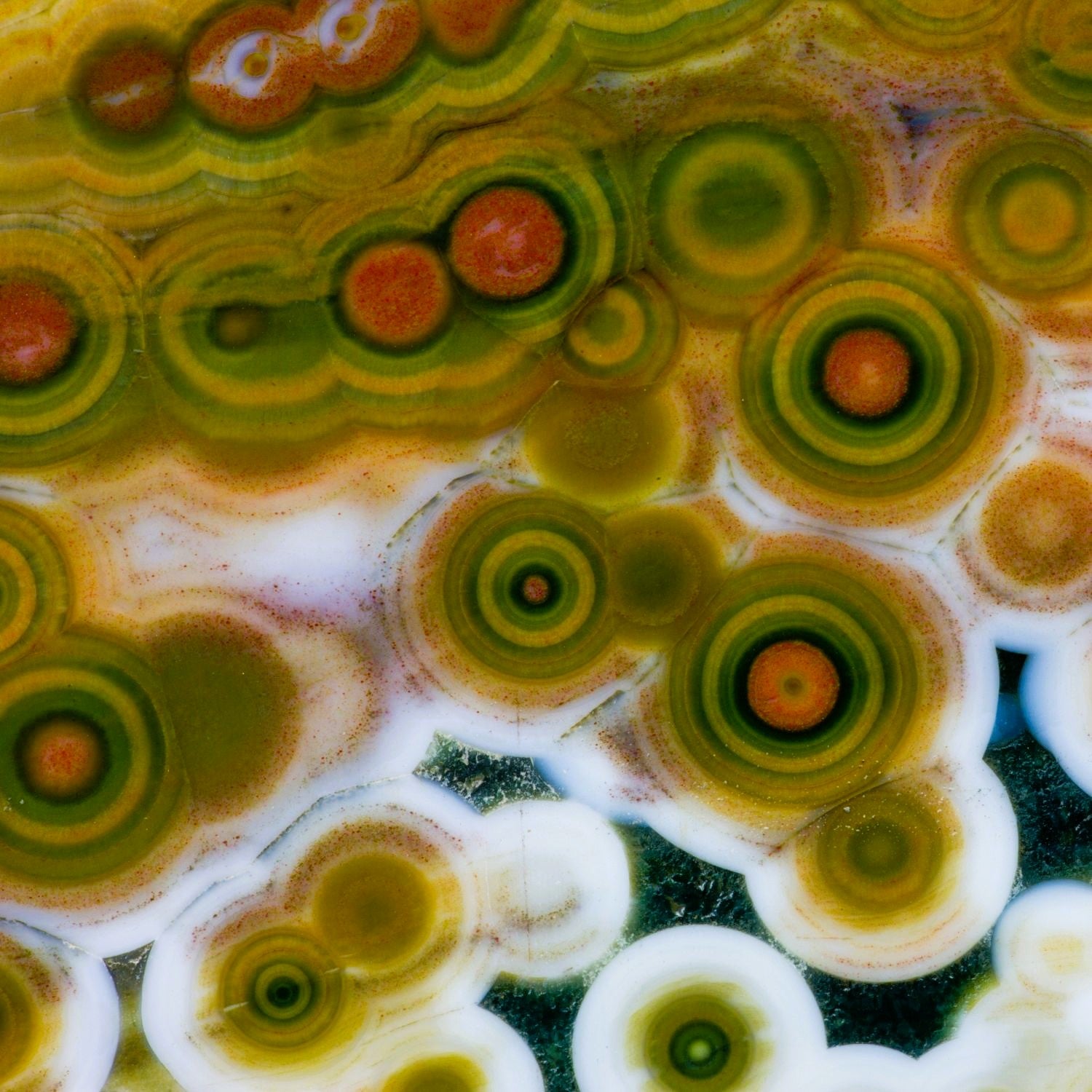 Close-up of colorful orbs on Ocean Jasper®